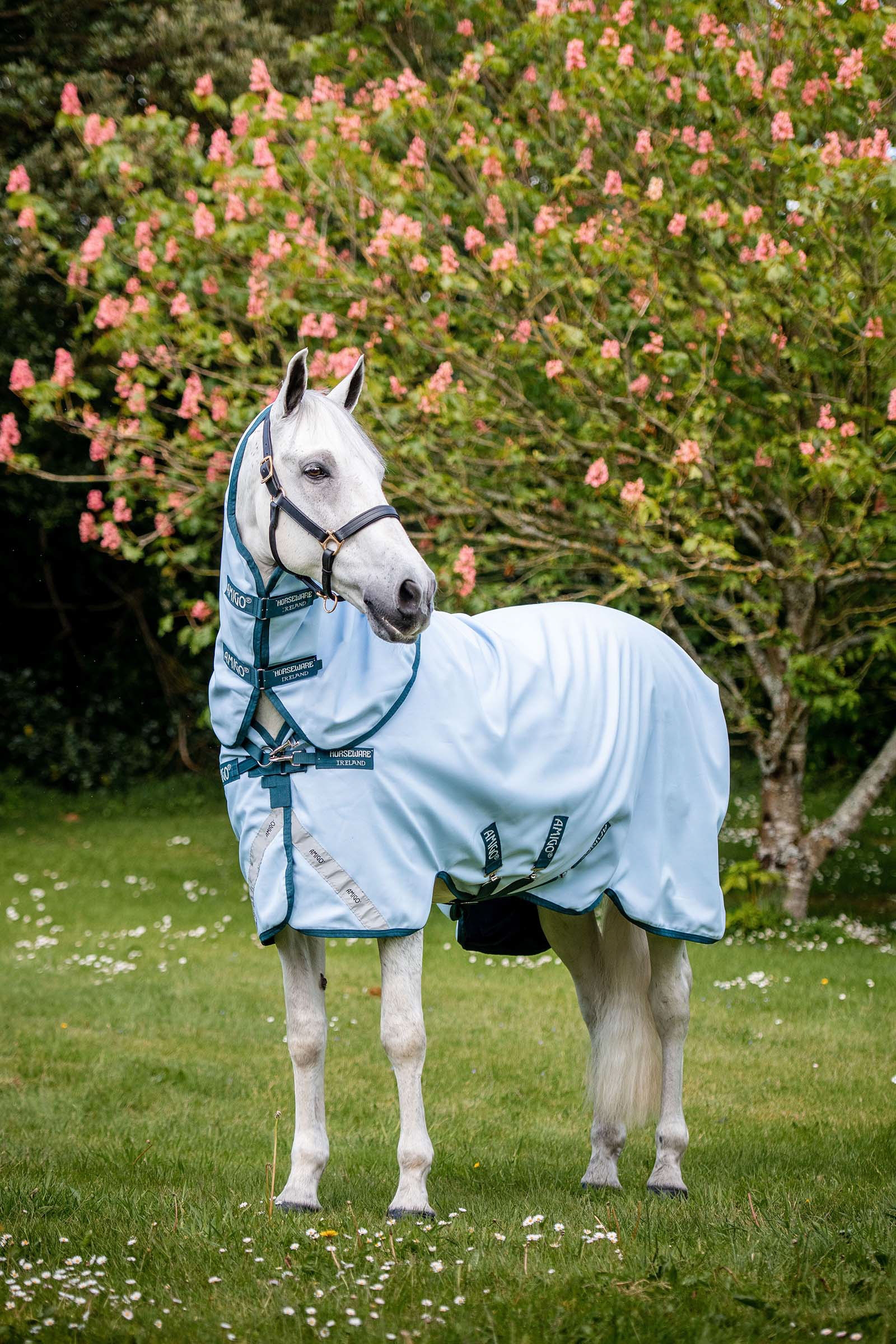 Horseware Amigo Plant Dye Derka padokowa farbowana barwnikami pochodzenia roślinnego, 50g