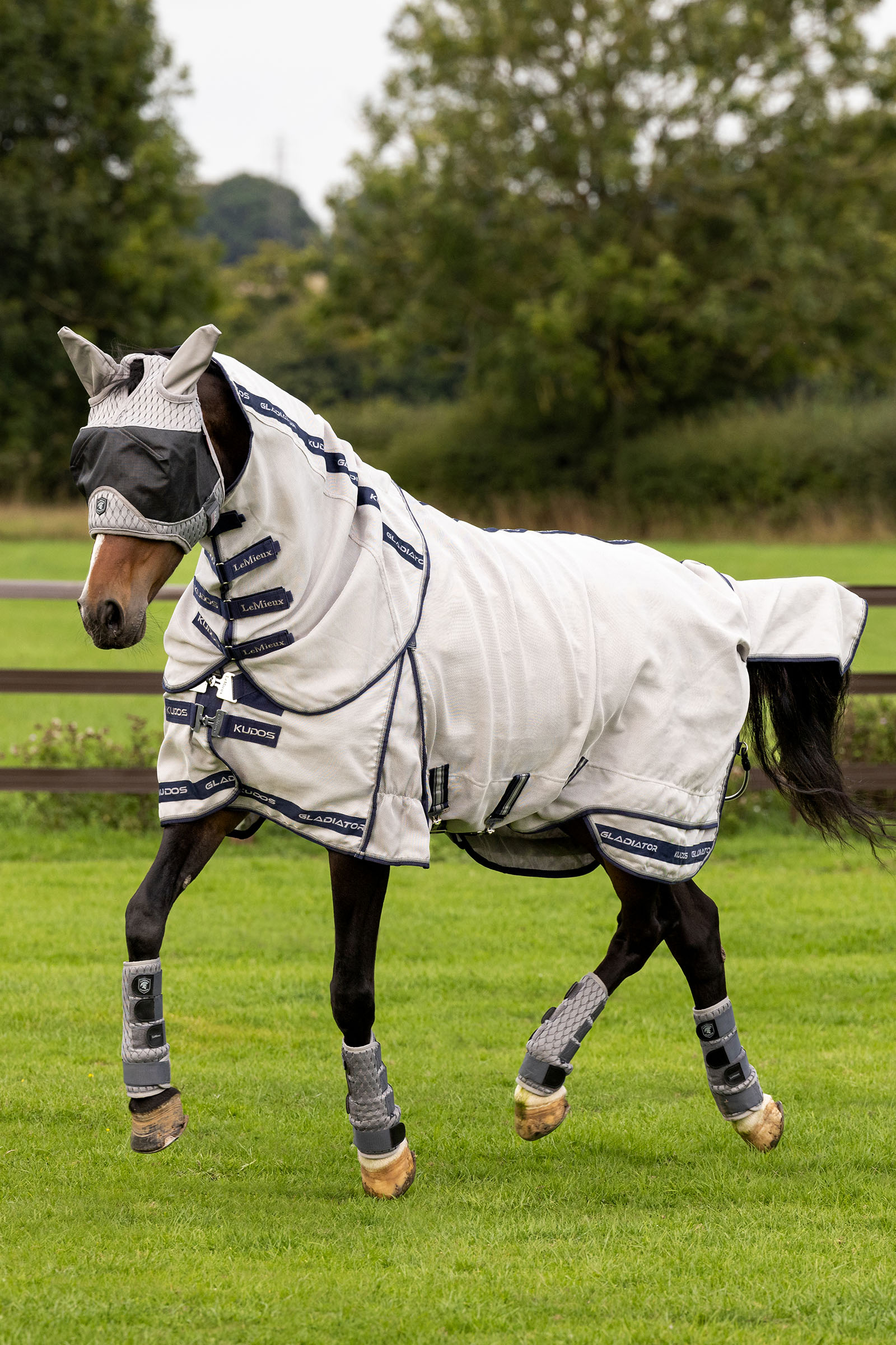 LeMieux Kudos Gladiator derka przeciwko owadom