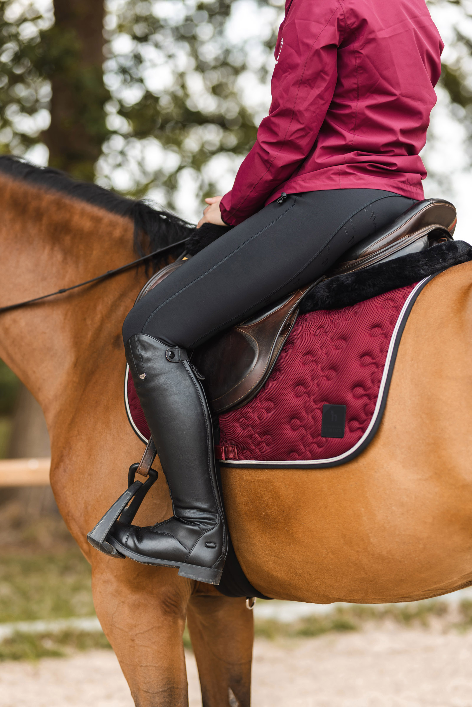 Horze Smoky Twilight Czaprak skokowy