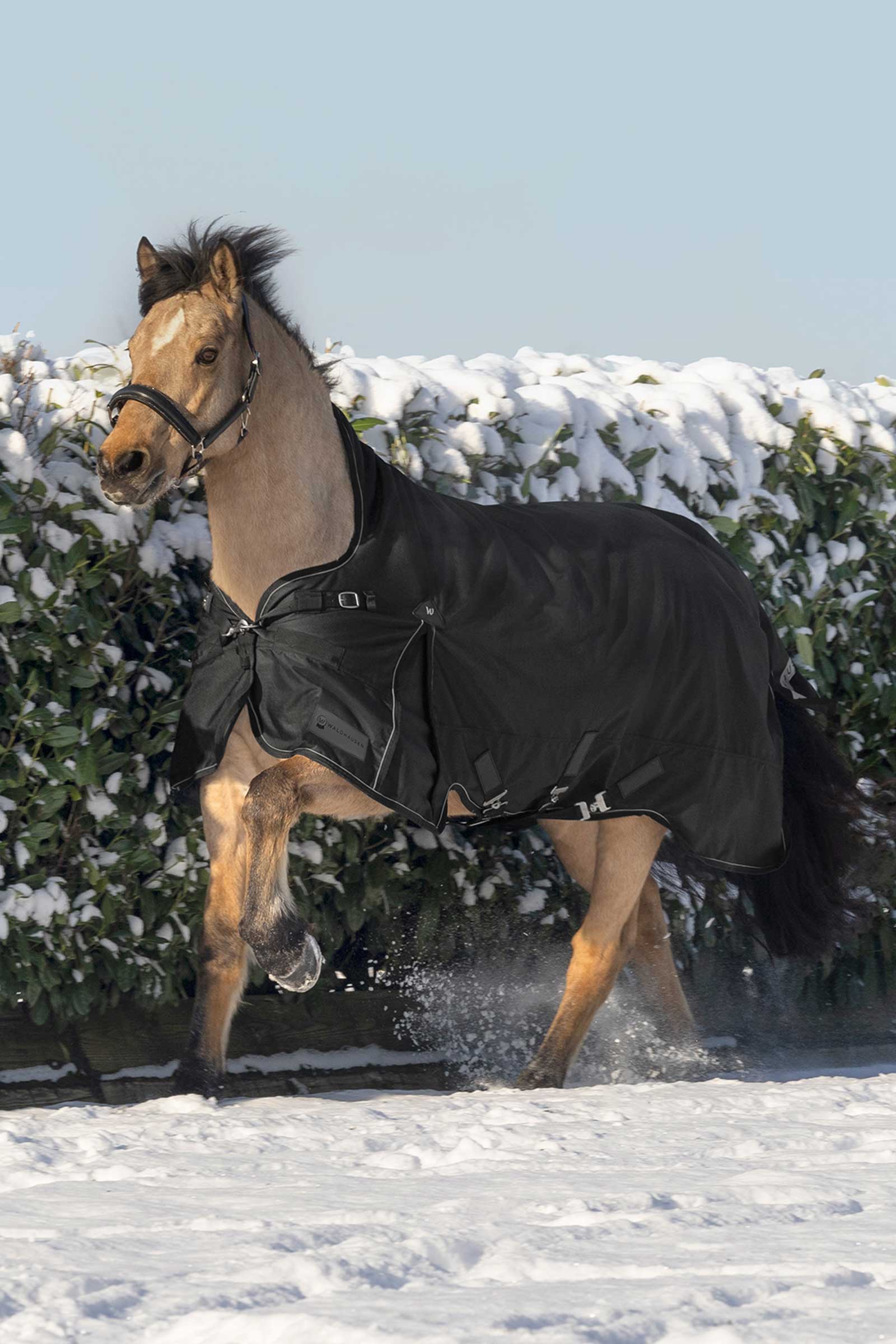 Waldhausen Scandic Derka padokowa z wysokim kołnierzem, 200 g