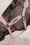 Kentucky Horsewear Aksamitny kKantar