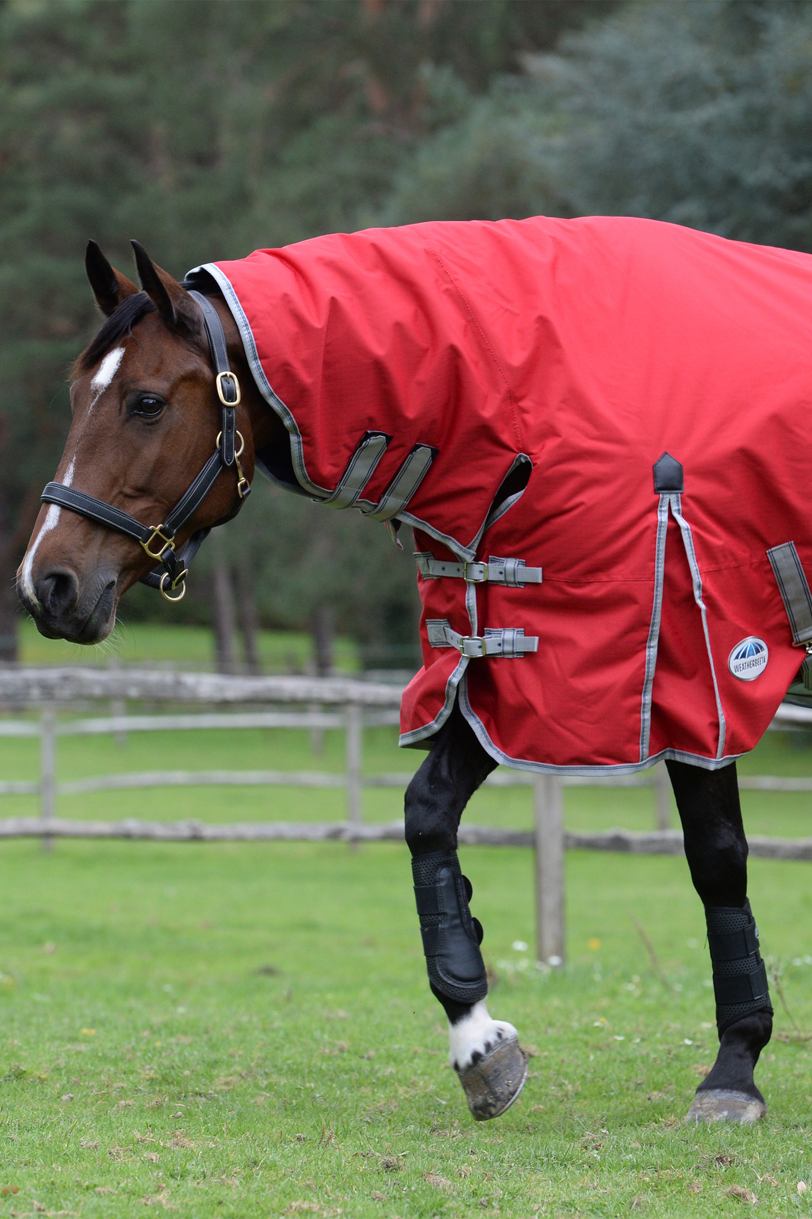 Weatherbeeta Comfitec Classic Derki dla konia z wbudowanym kołnierzem, 50g