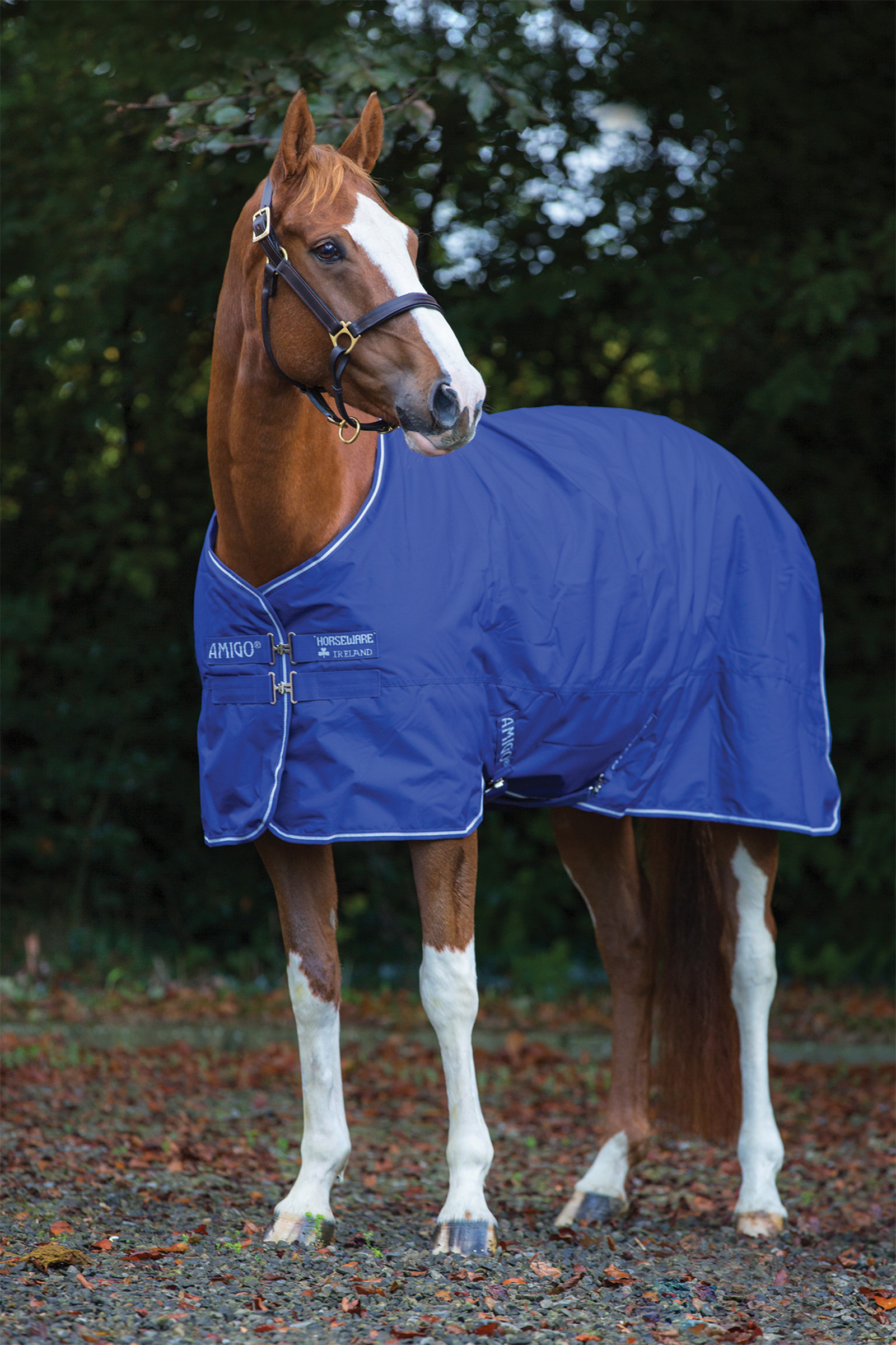 Horseware Amigo Hero 900 Plus Medium derka padokowa, 200g