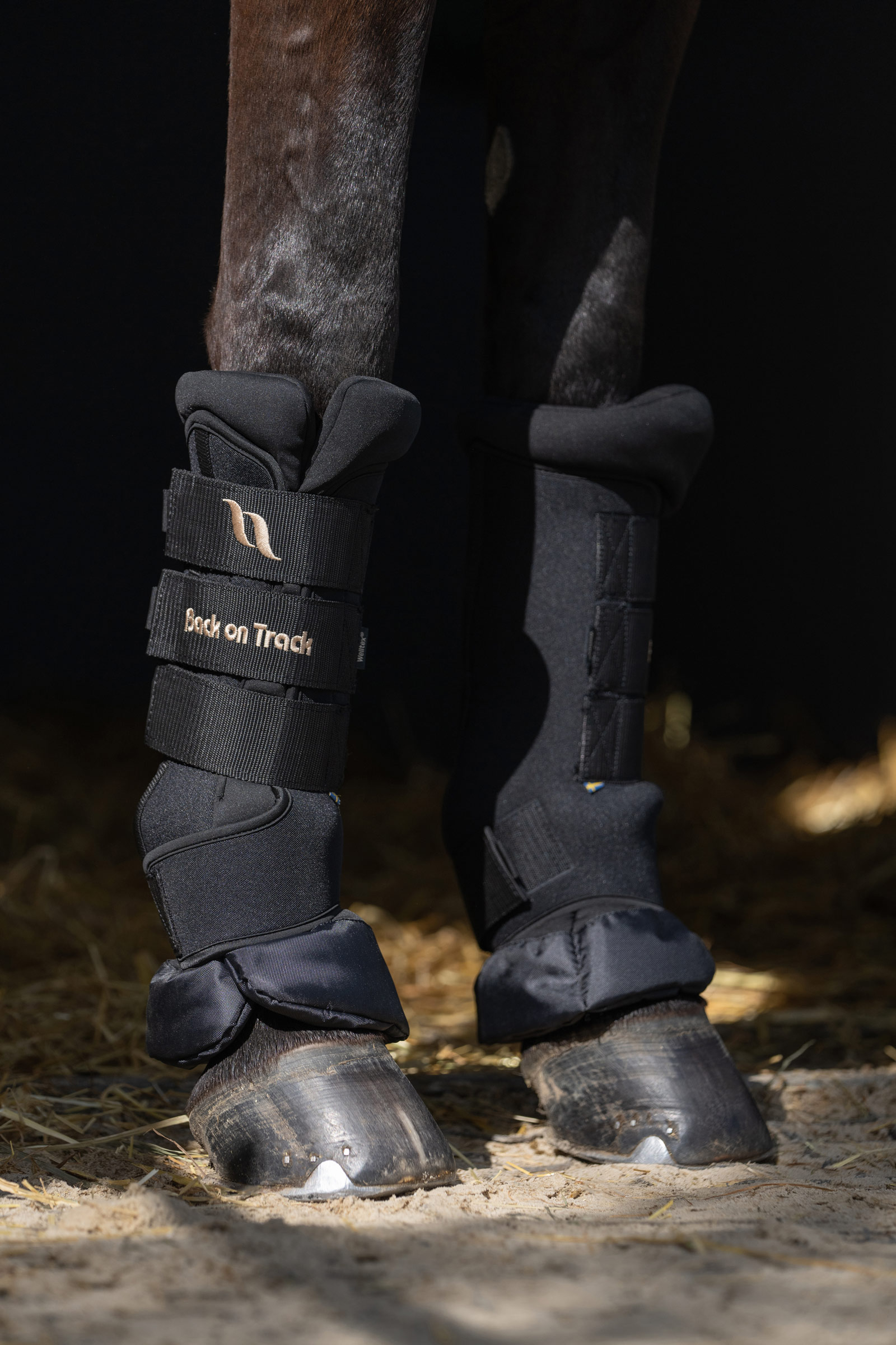 Ochraniacze Back on Track Quick Royal