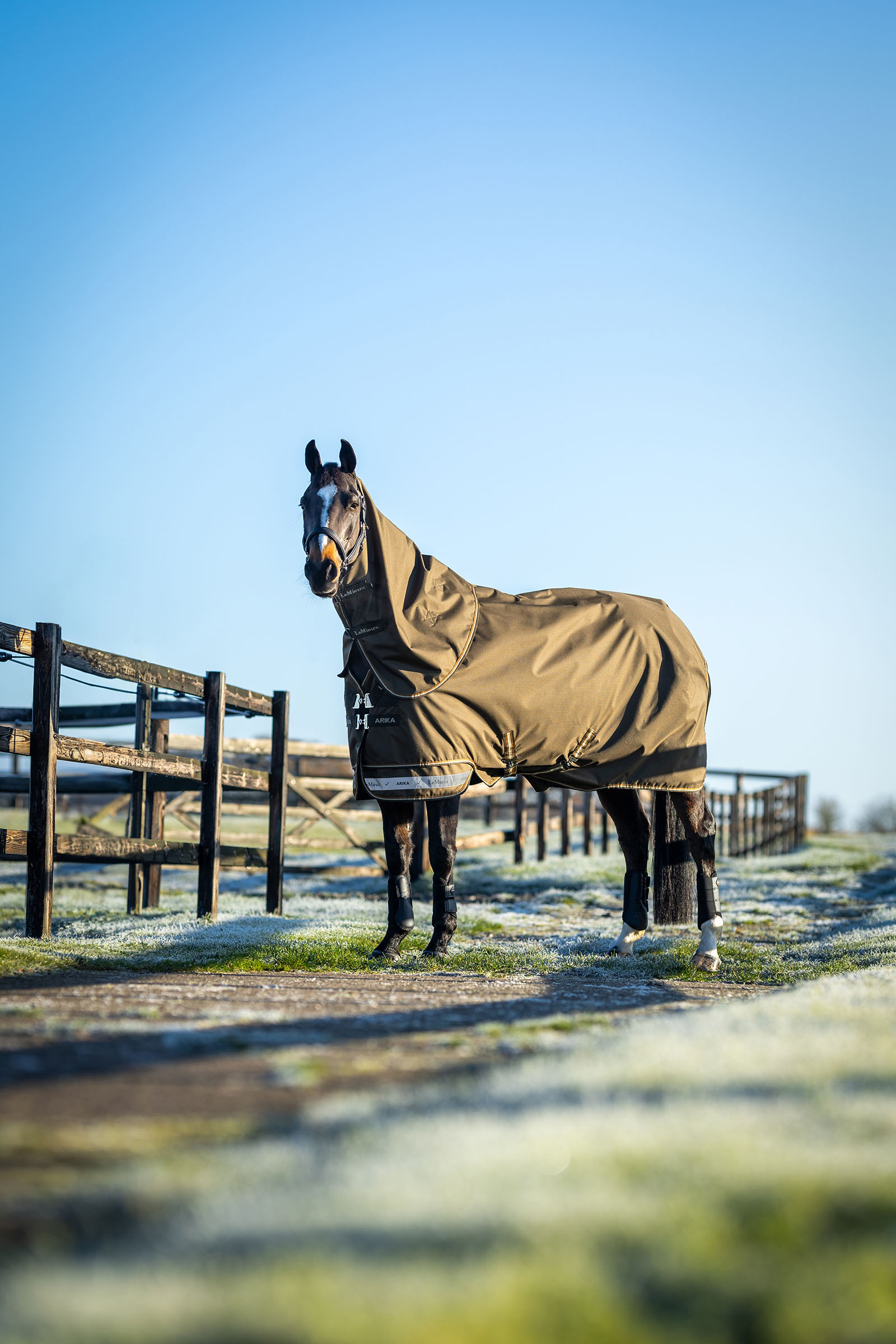 LeMieux Arika derka ripstop z odpinanym kapturem 50 g