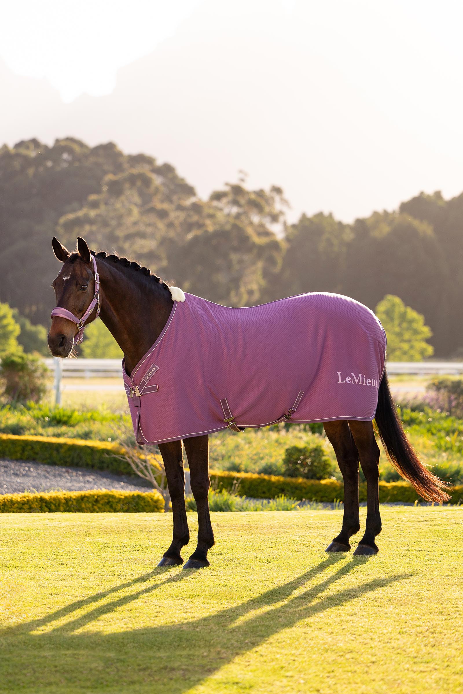 Mallow LeMieux Kudos bambusowa derka osuszająca