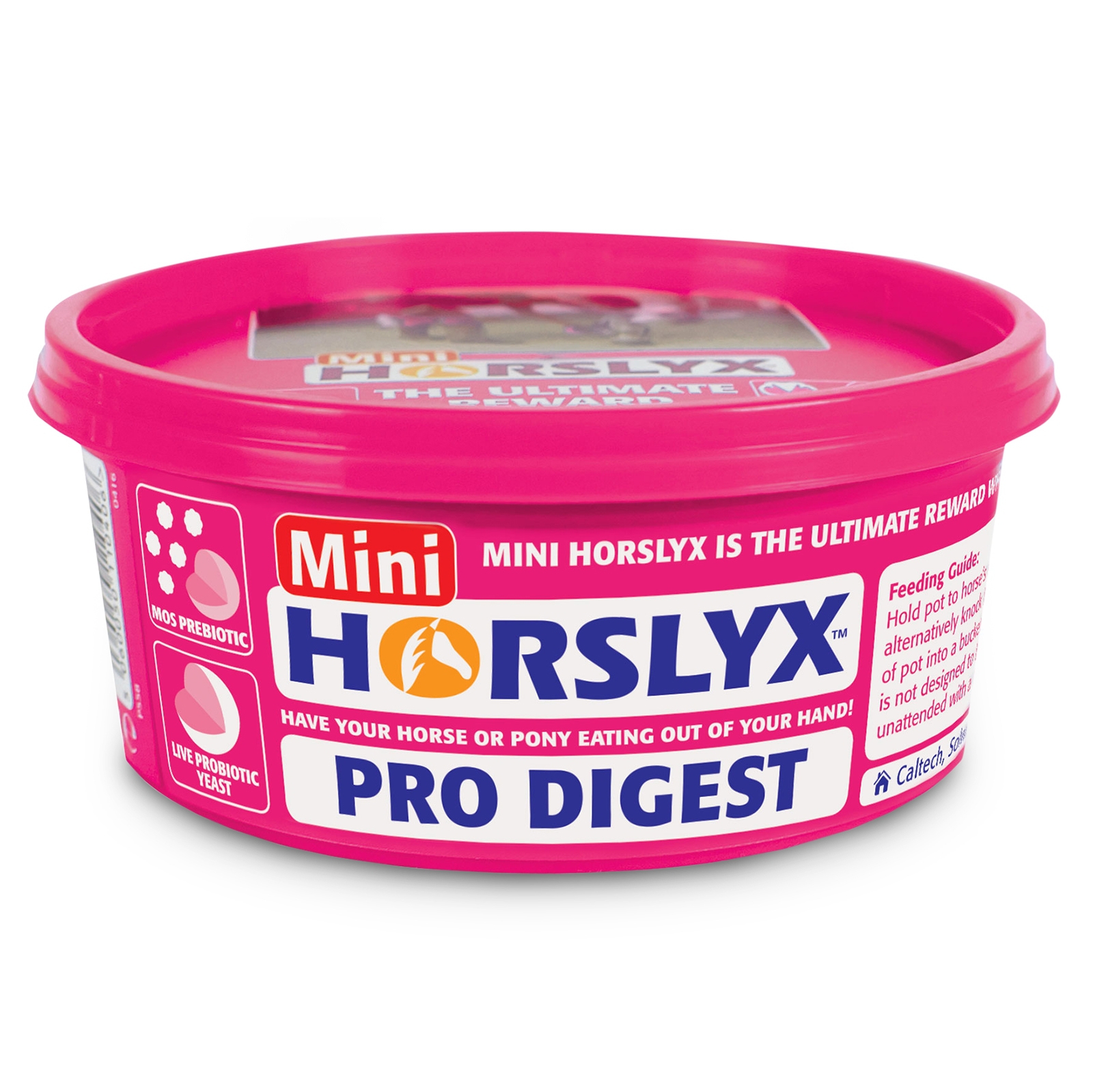 Horslyx Pro-Digest Balancer Lickstone 650g
