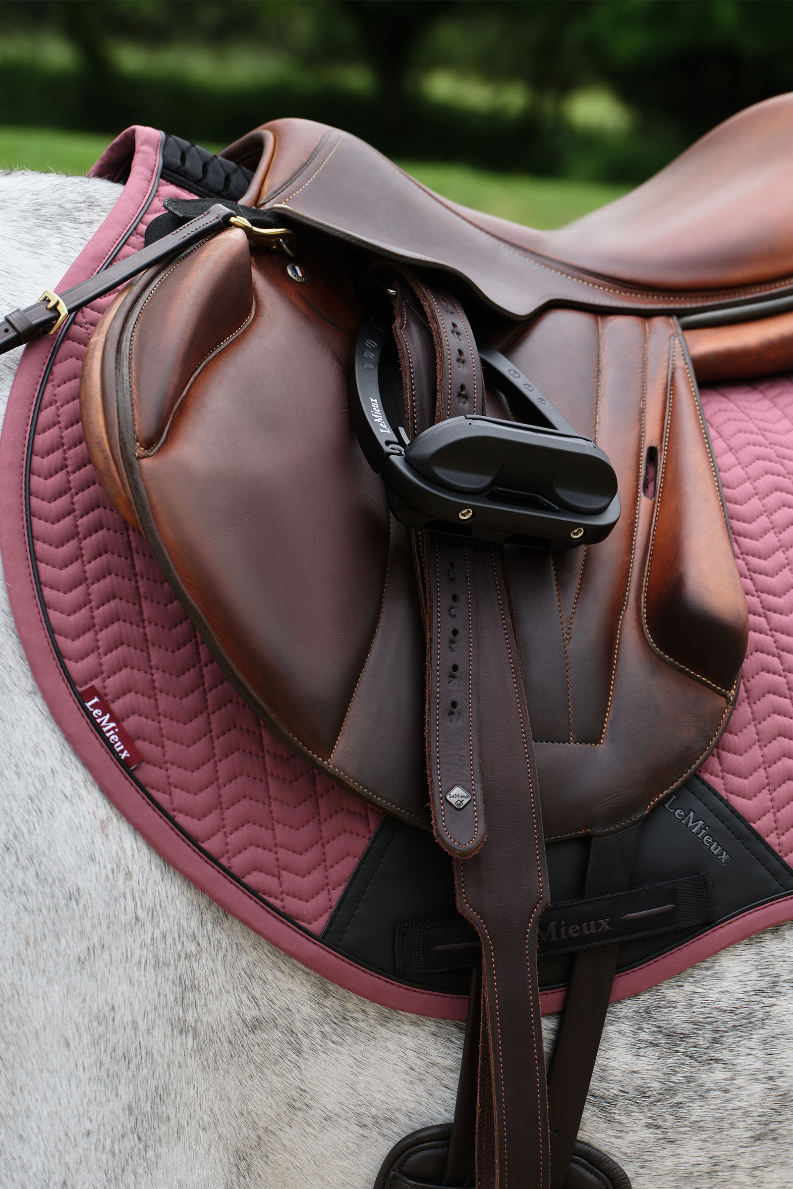 LeMieux Essence Eurojump Czaprak skokowy