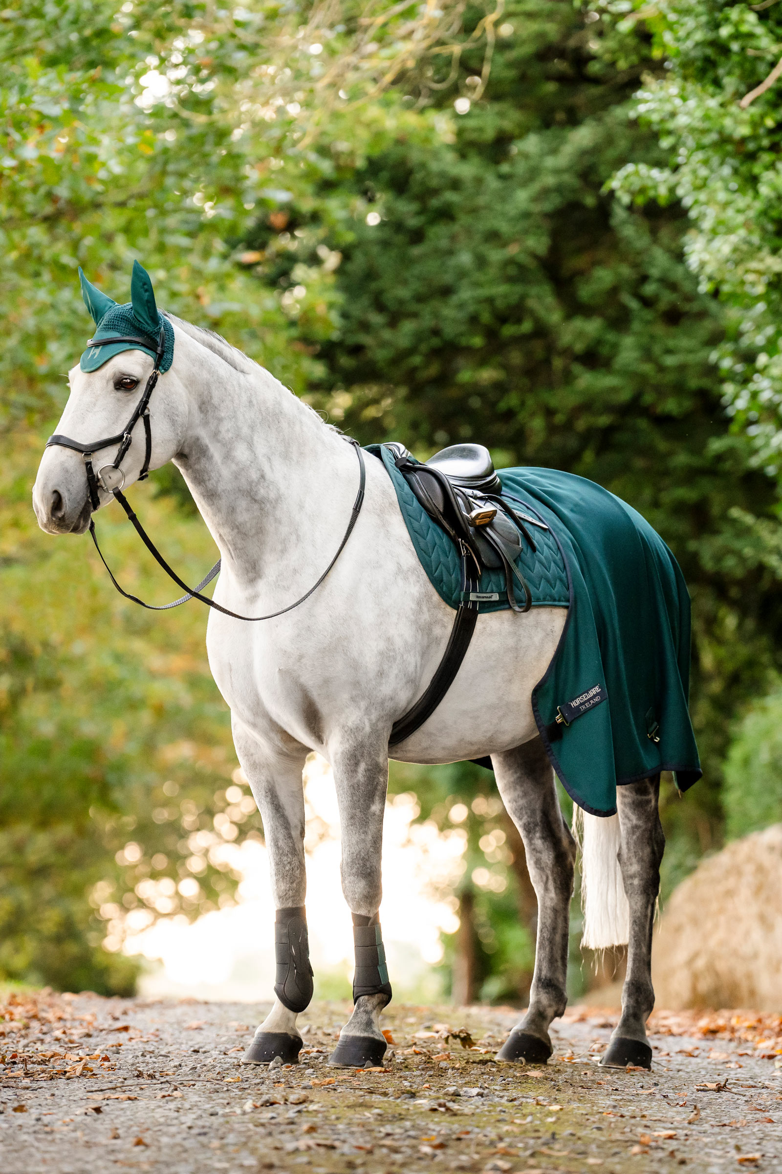 Horseware Amigo derka osuszająca jersey