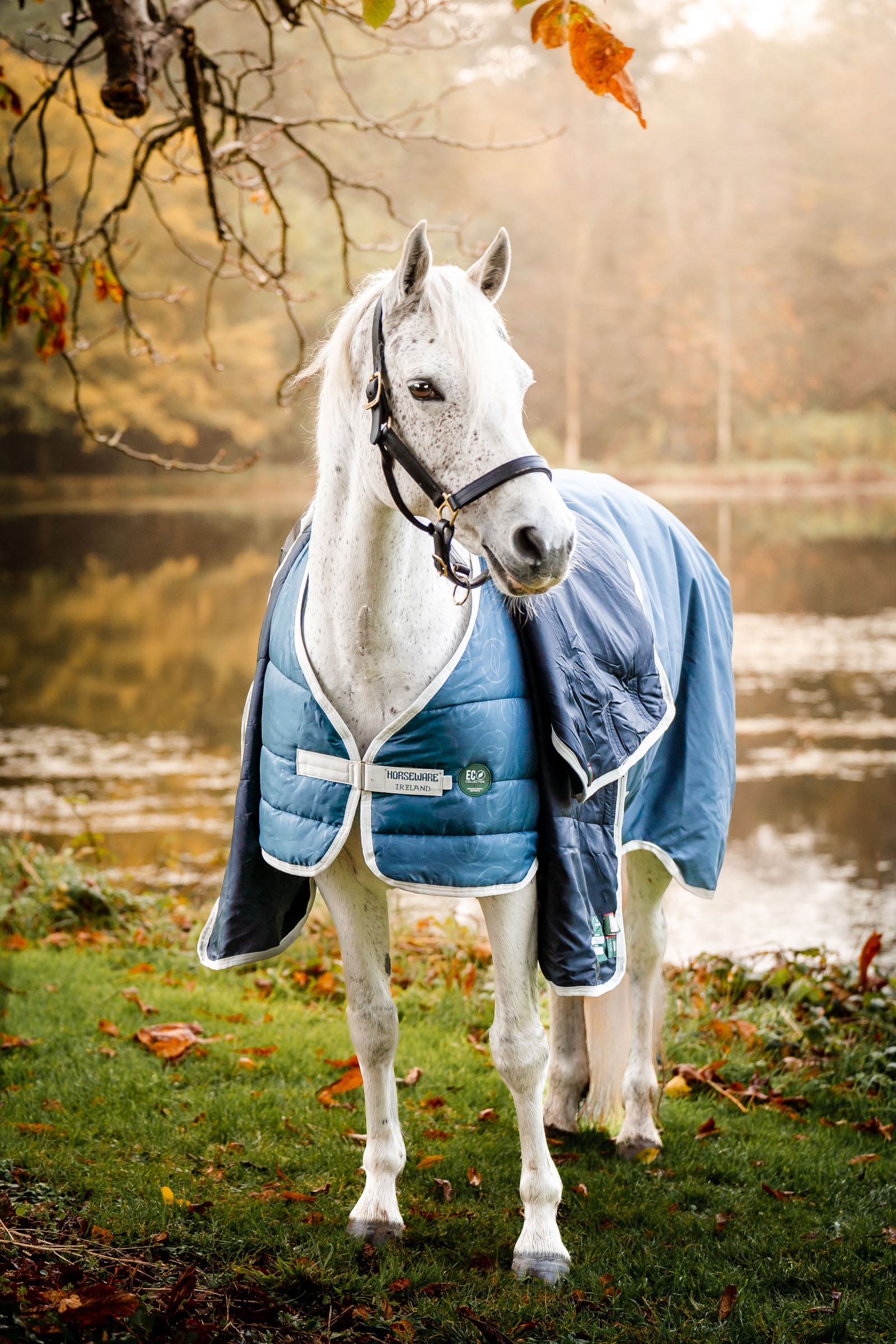 Horseware Eco Liner Podpinka pod derkę, 200 g