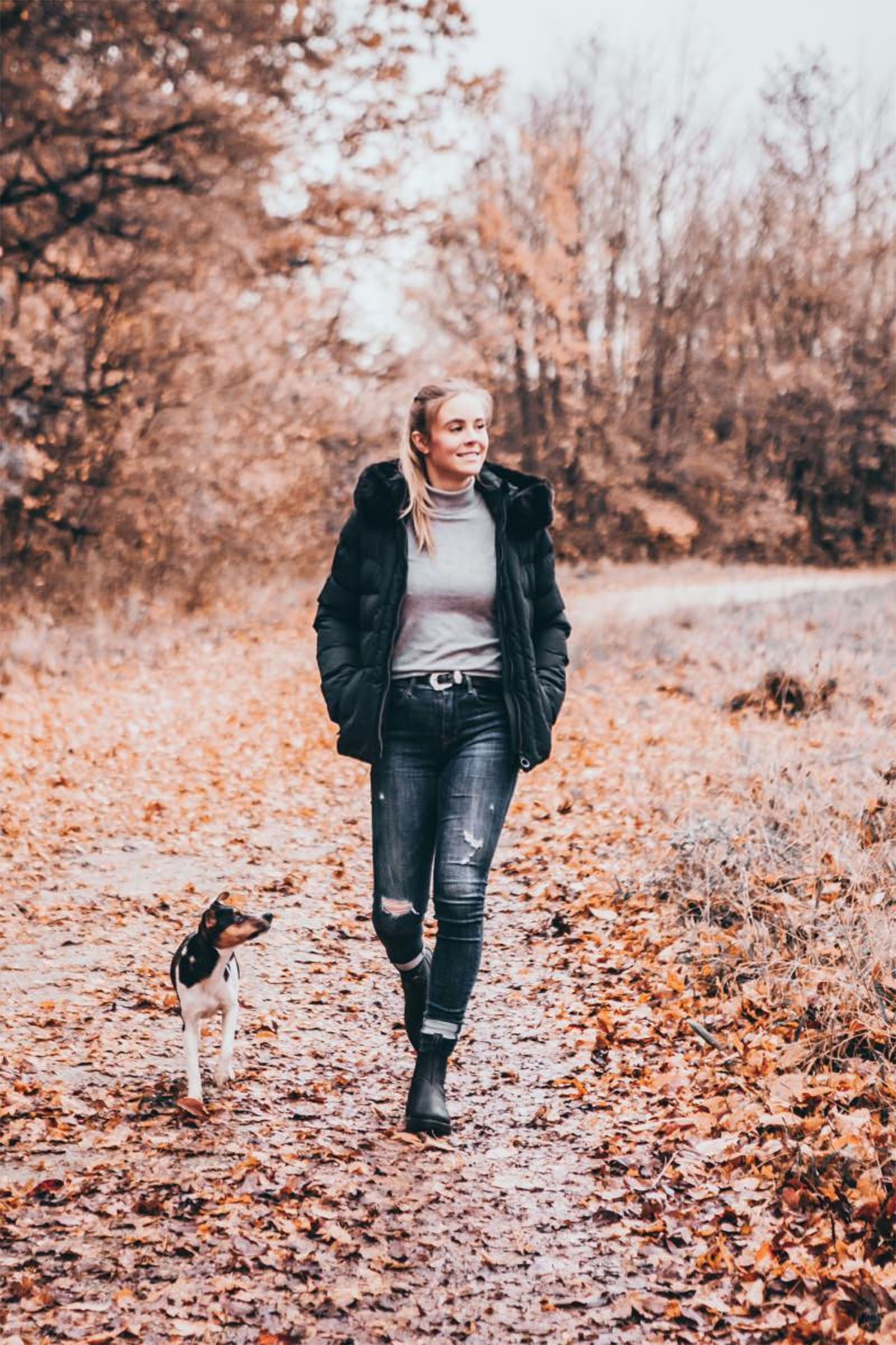 Suedwind Footwear New Work Zimowe Sztyblety Jodhpur Chelsea