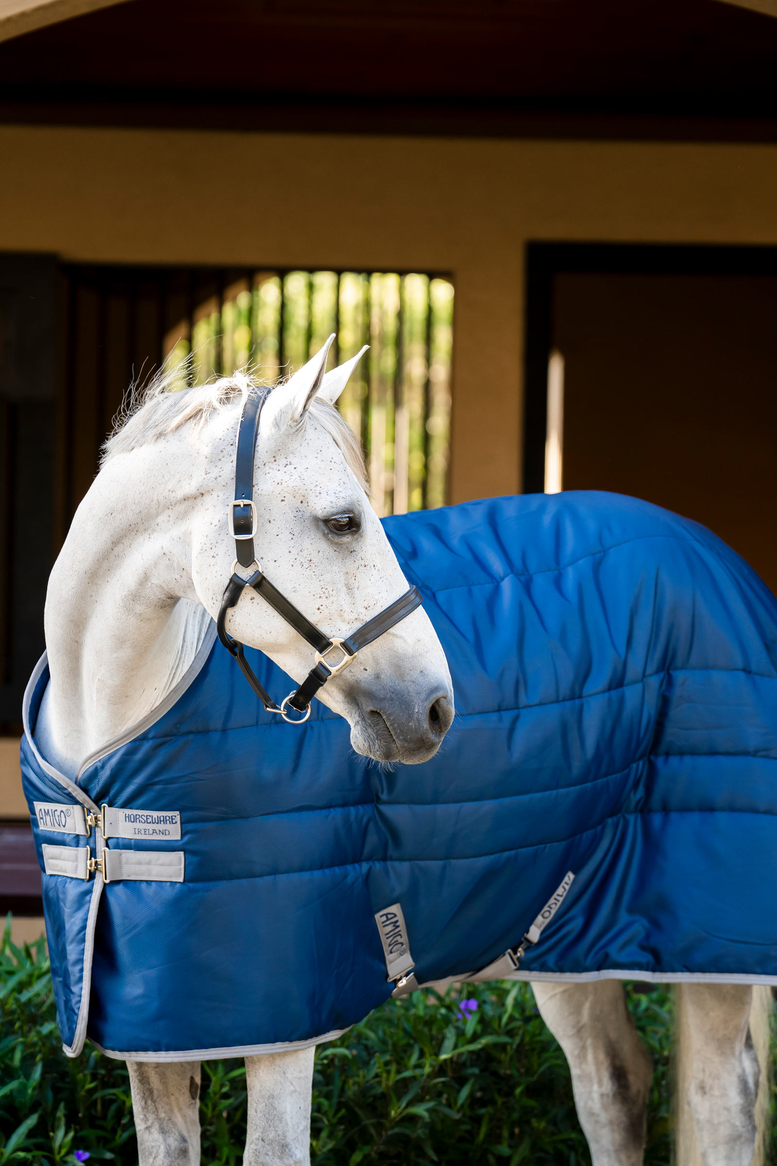 Horseware Amigo Diamond Izolator, 100 g