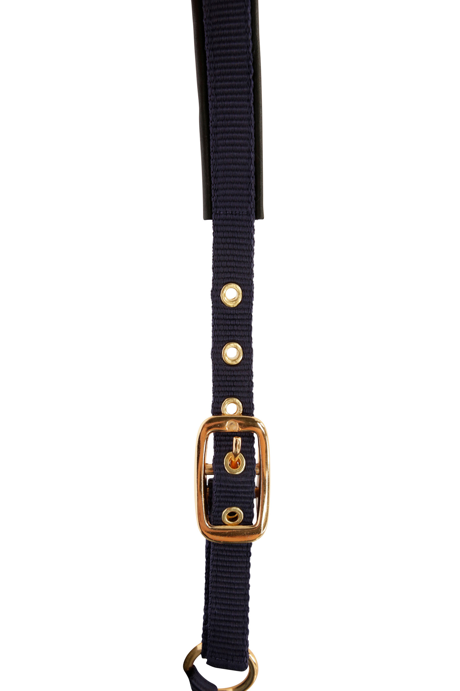 Covalliero TopLine Kantar dla źrebaka