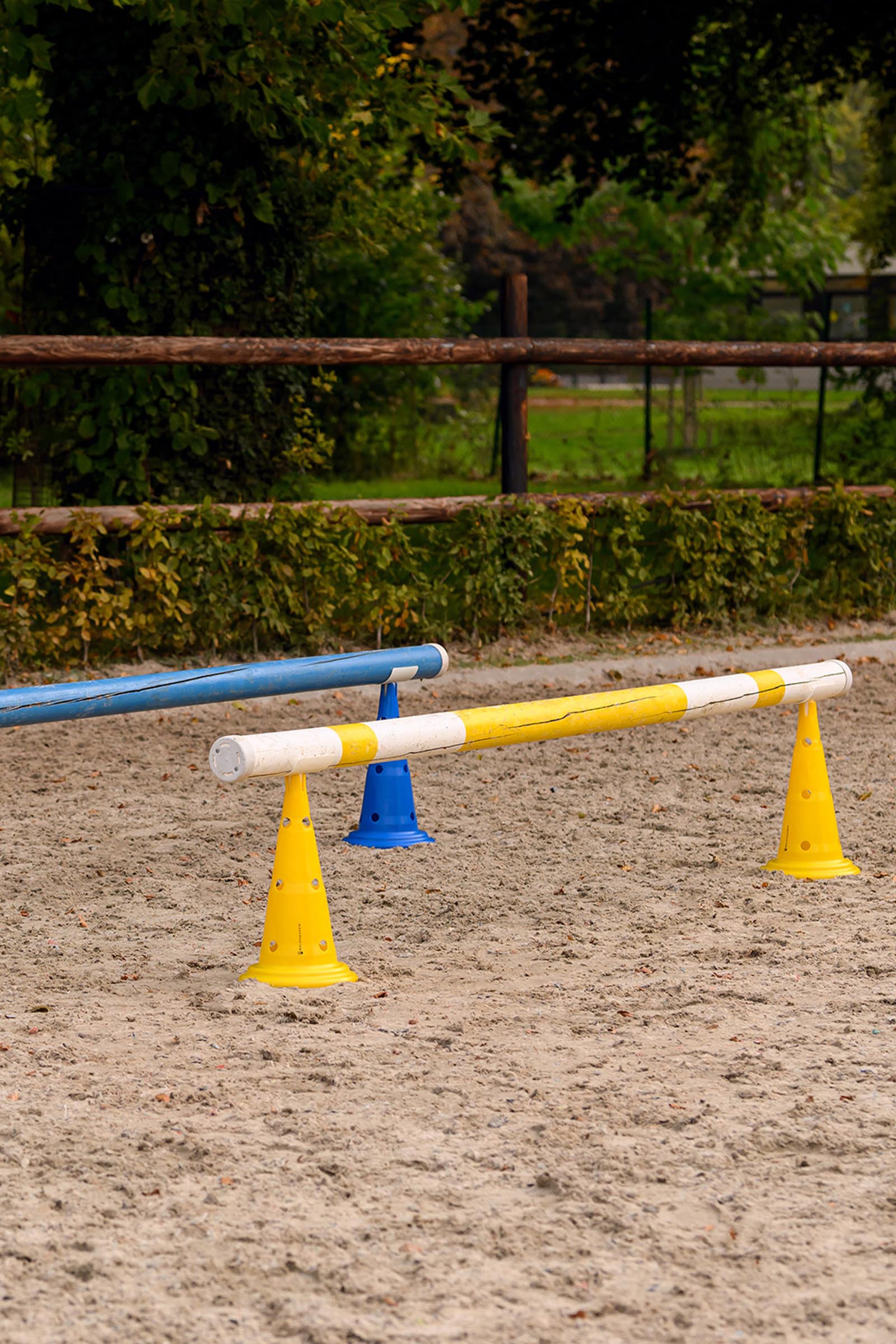 Waldhausen XL pachołki z torbą transportową (8 szt.)