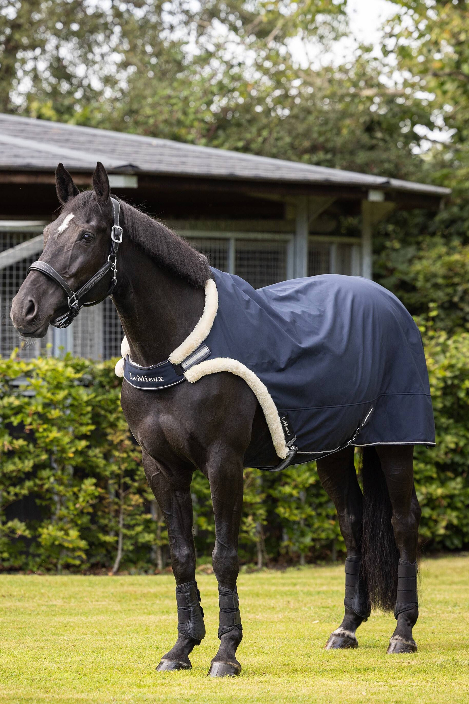 LeMieux Kołnierz prowadzący