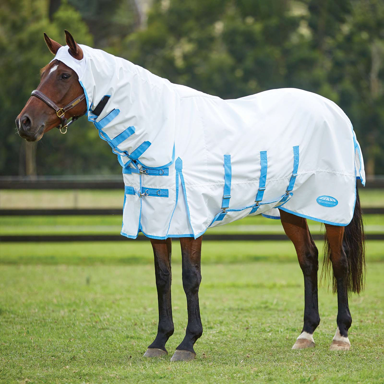 Weatherbeeta Comfitec derka egzemowa ze stałym kołnierzem