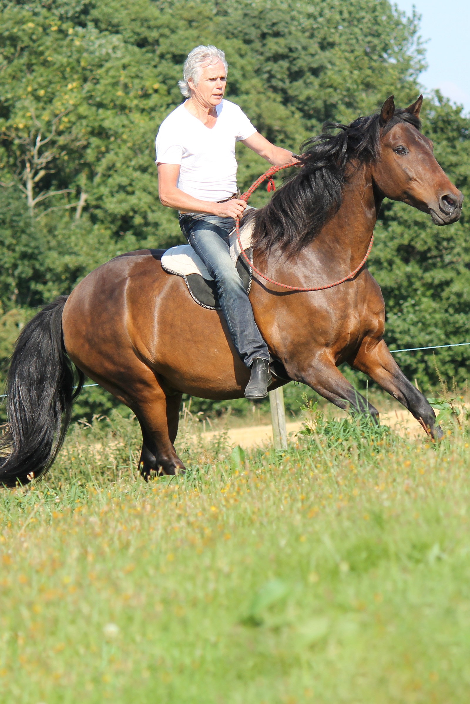F.R.A. Freedom Riding Articles Free Pad do jazdy na oklep, Full
