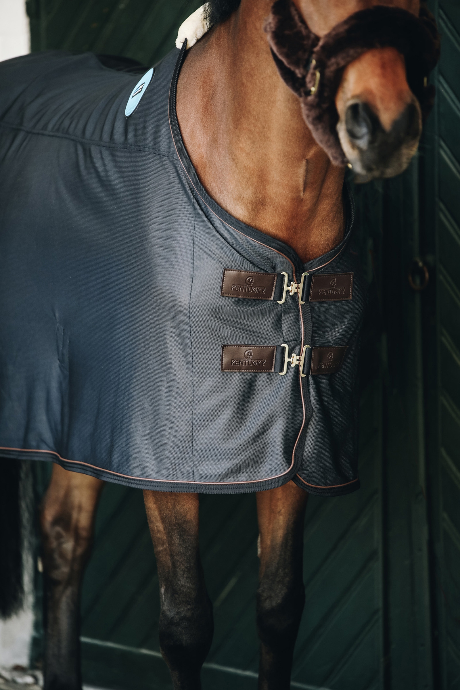 Kentucky Horsewear Recuptex Derka magnetyczna