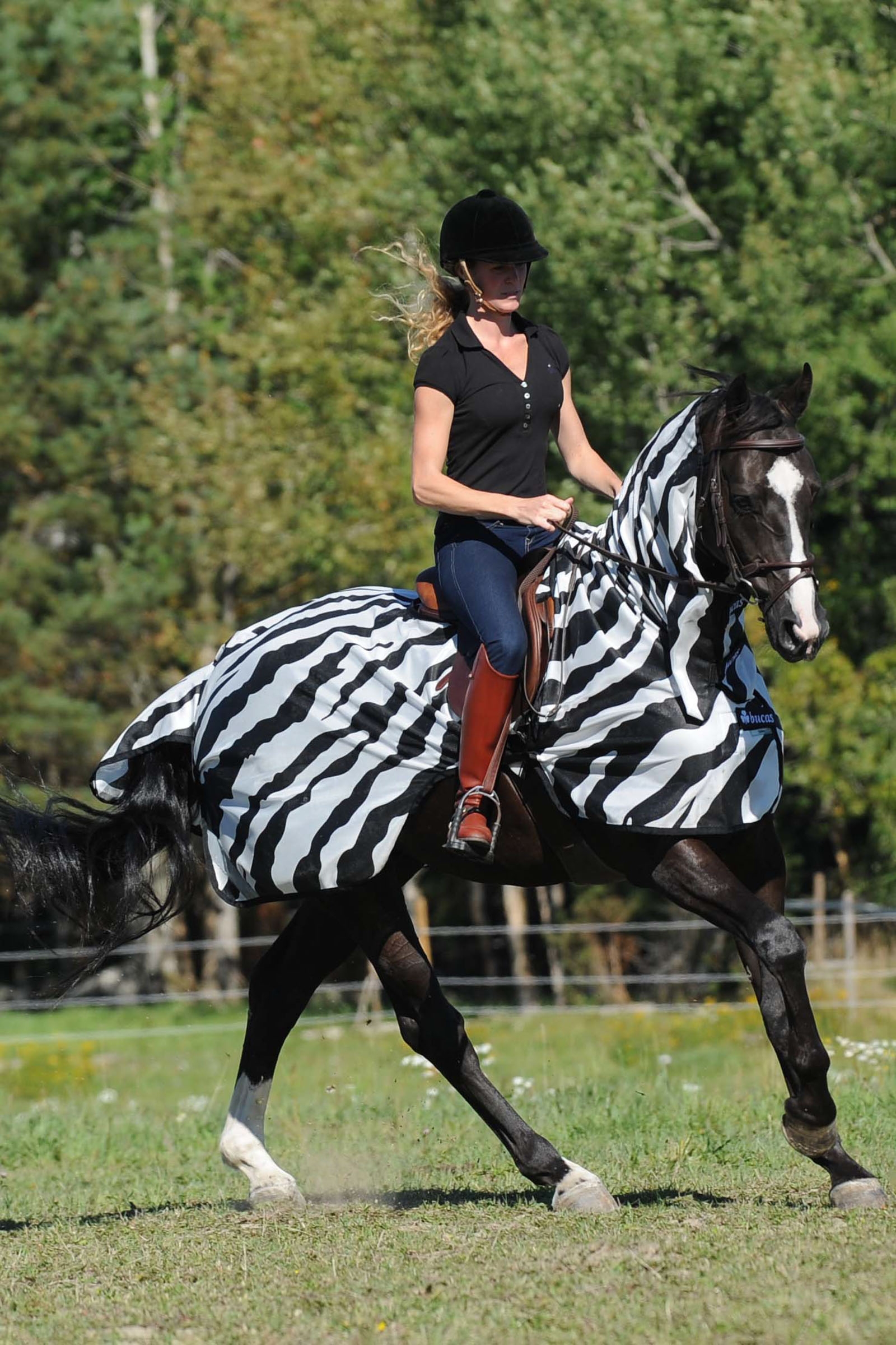 Bucas Buzz-Off Riding Zebra Derka do latania i jazdy konnej
