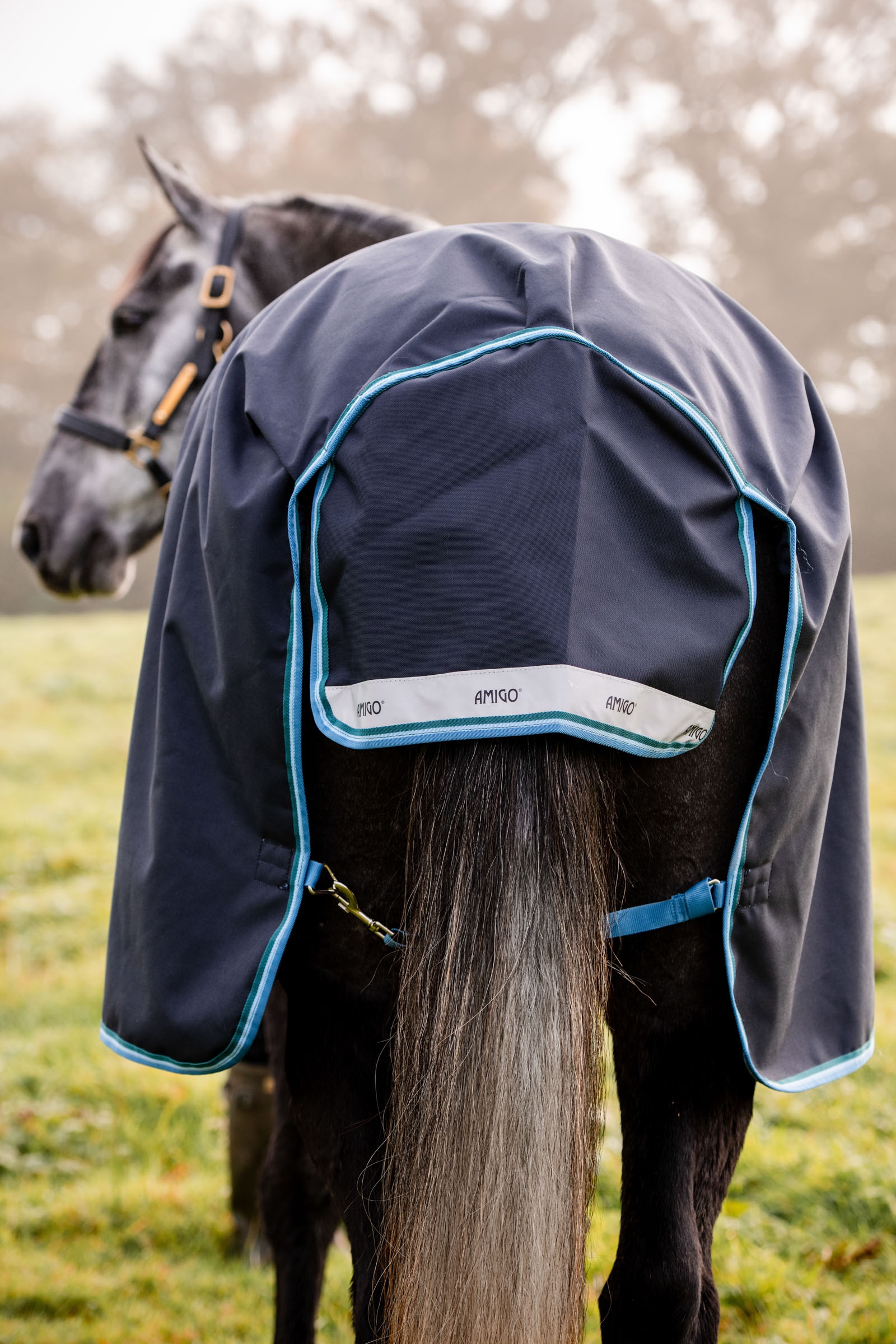 Horseware Amigo Bravo 12 derka padokowa, 100g