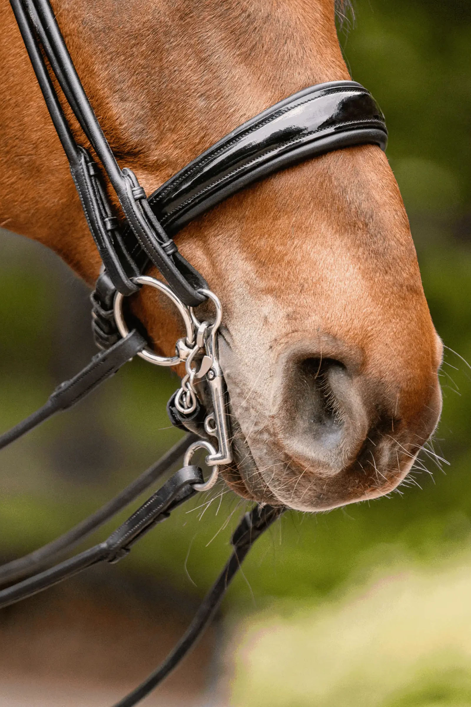 Sprenger Novocontact Weymouth 14mm Sensogan z policzkami ze stali nierdzewnej o długości 5cm
