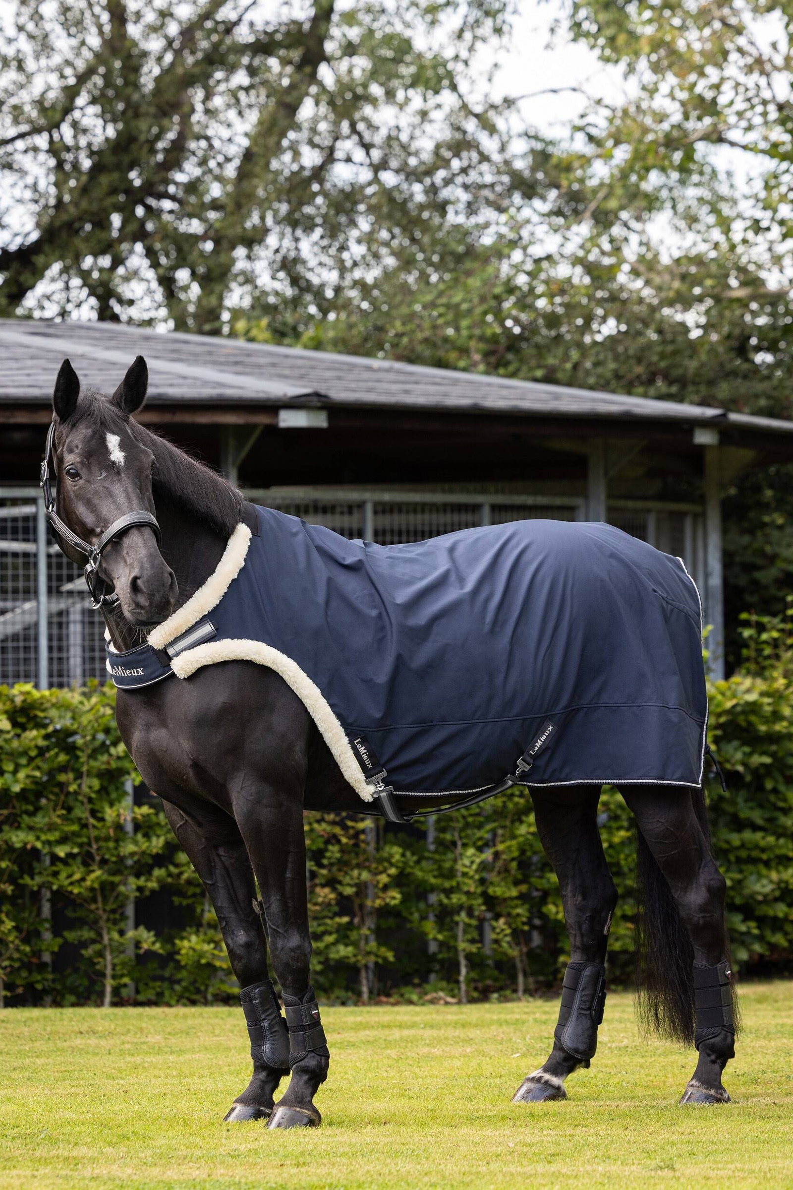 LeMieux Kołnierz prowadzący