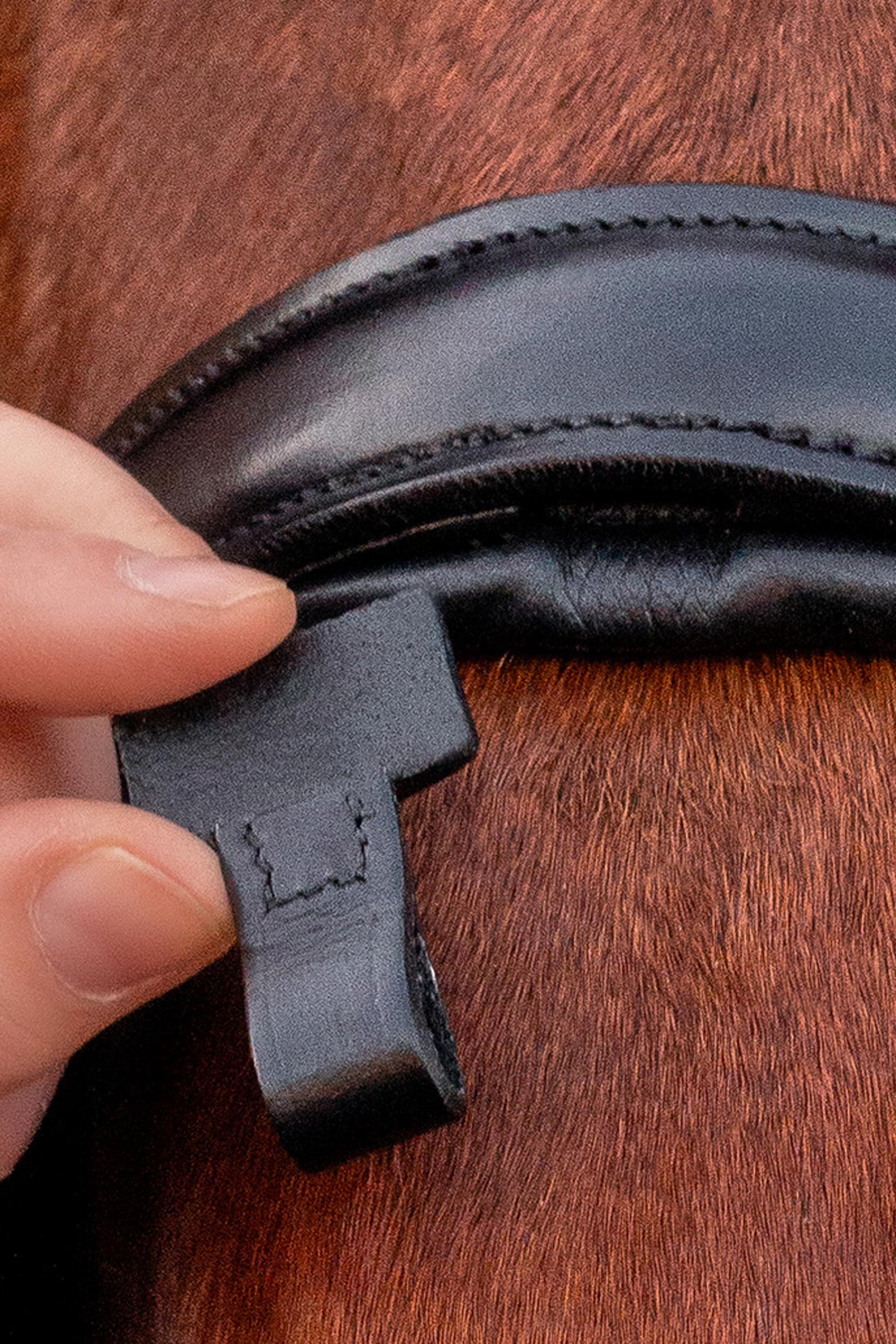 Schockem&ouml;hle Sports Monza Ogłowie