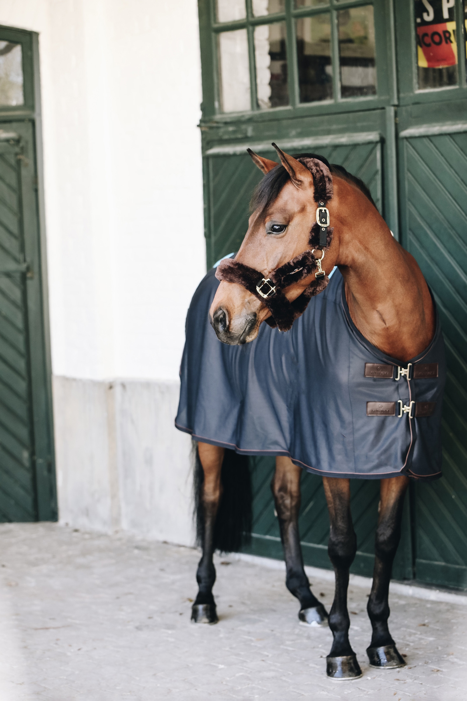 Kentucky Horsewear Recuptex Derka magnetyczna
