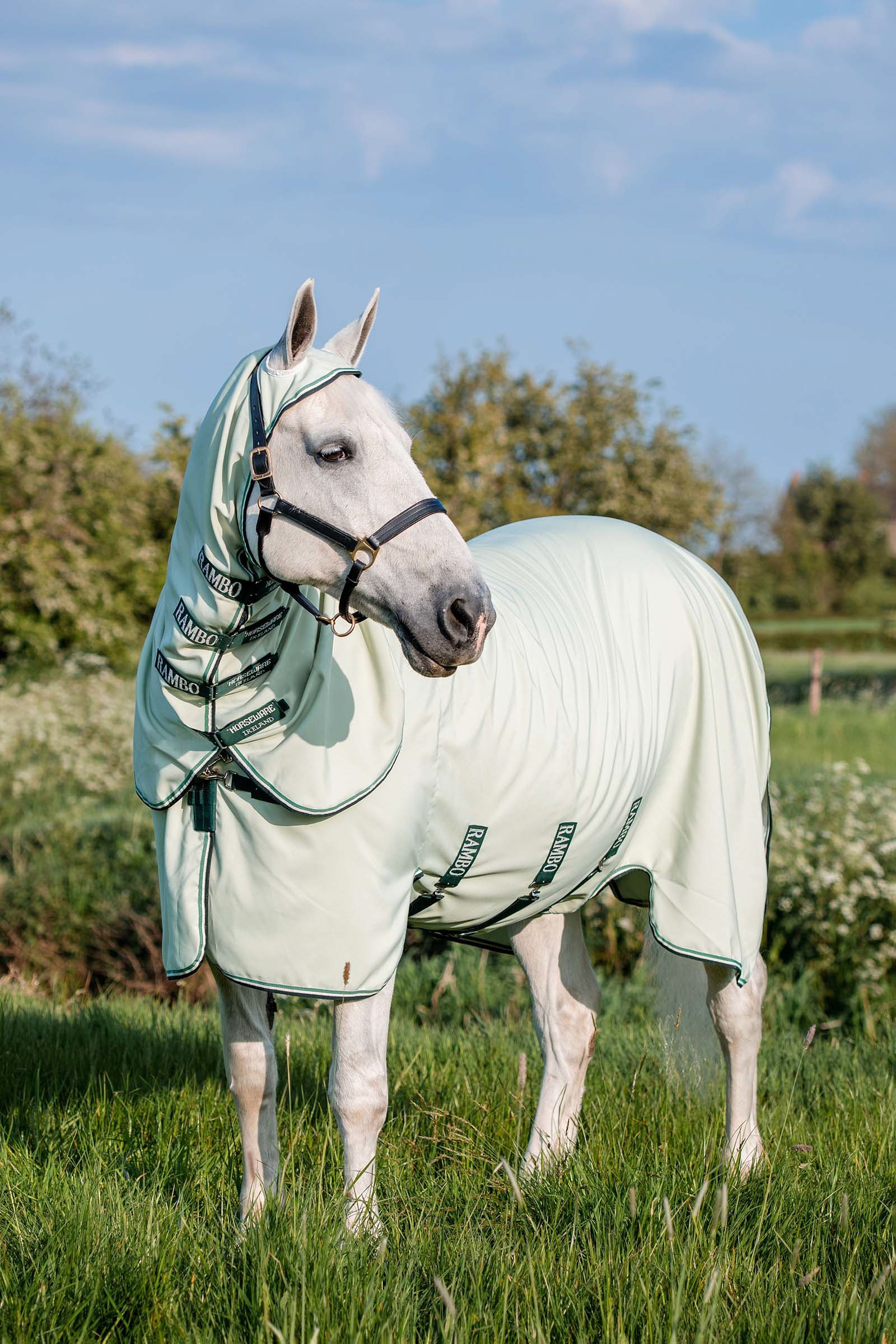 Horseware Rambo Derka z kapturem XL