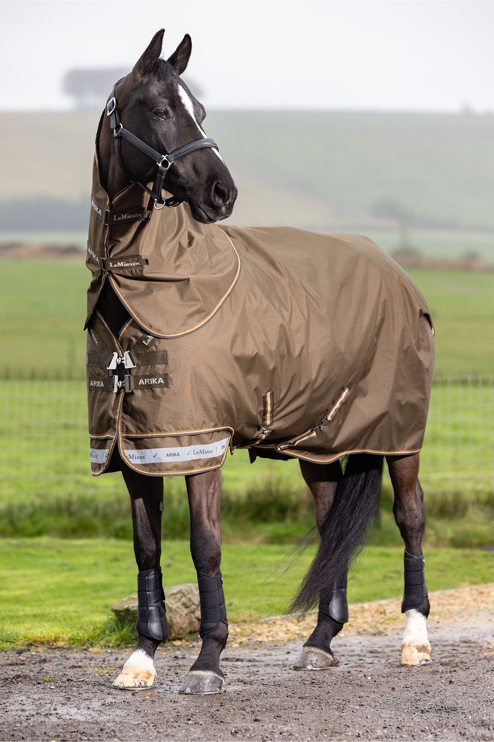 Alpine LeMieux Arika Ripstop Turnout Rug With Detachable Neck, 100 g