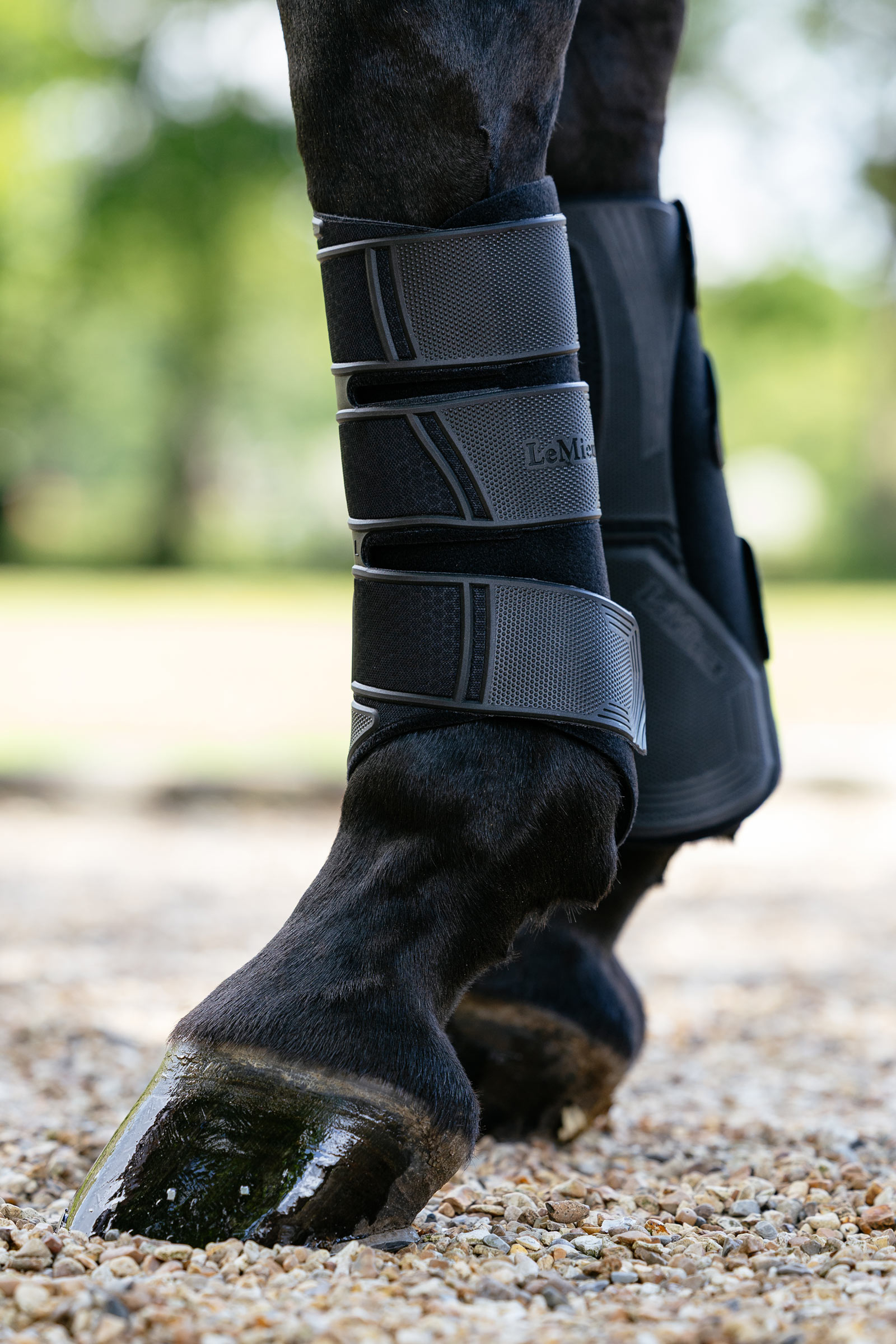 Black LeMieux Technical ochraniacze ujeżdżeniowe