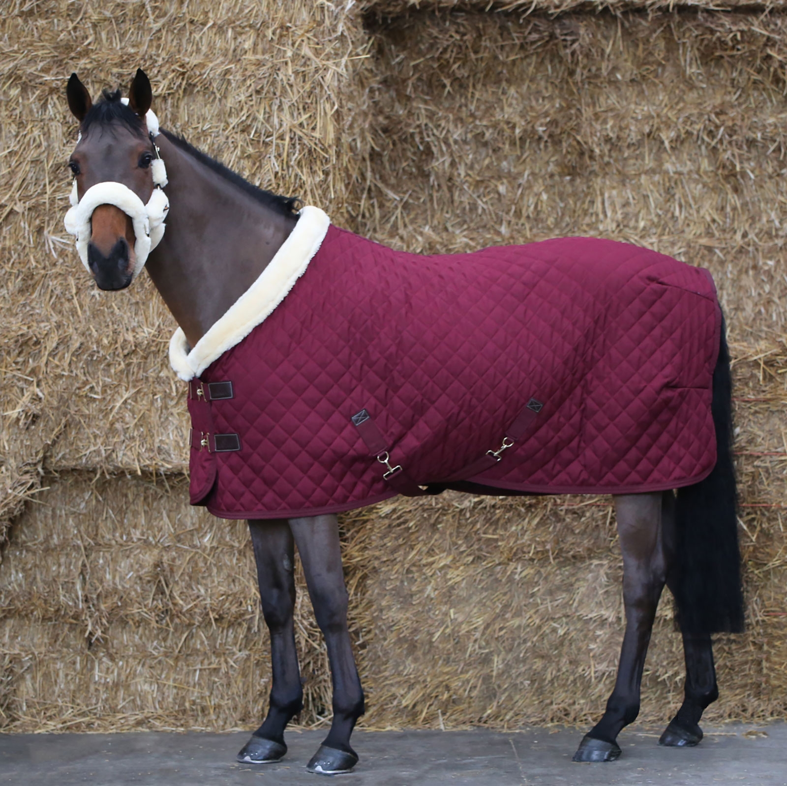Dark Red Derka konkursowa Kentucky Horsewear 160g