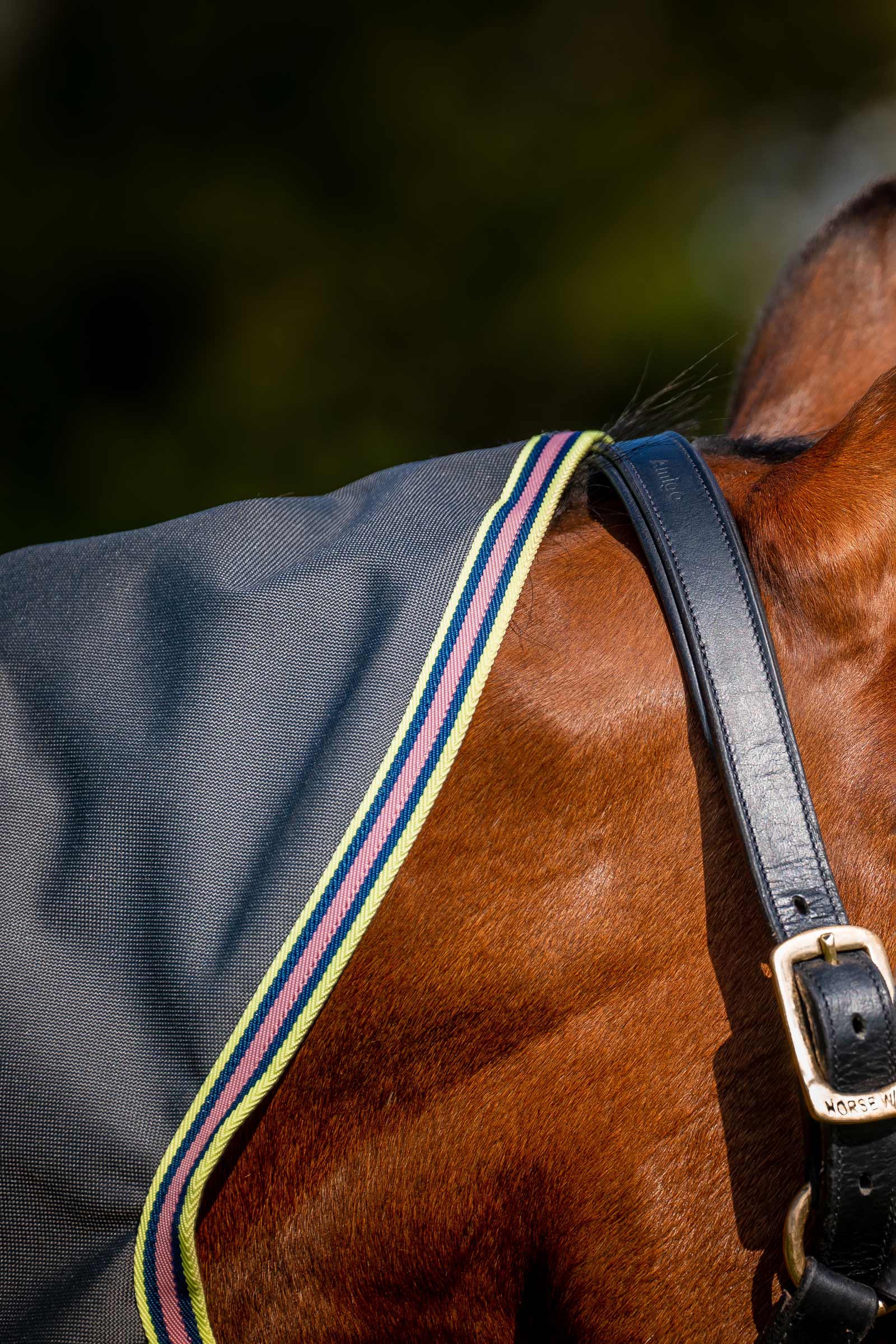 Horseware Amigo Bravo 12 Plus derka padokowa z odpinanym szyją, 0g