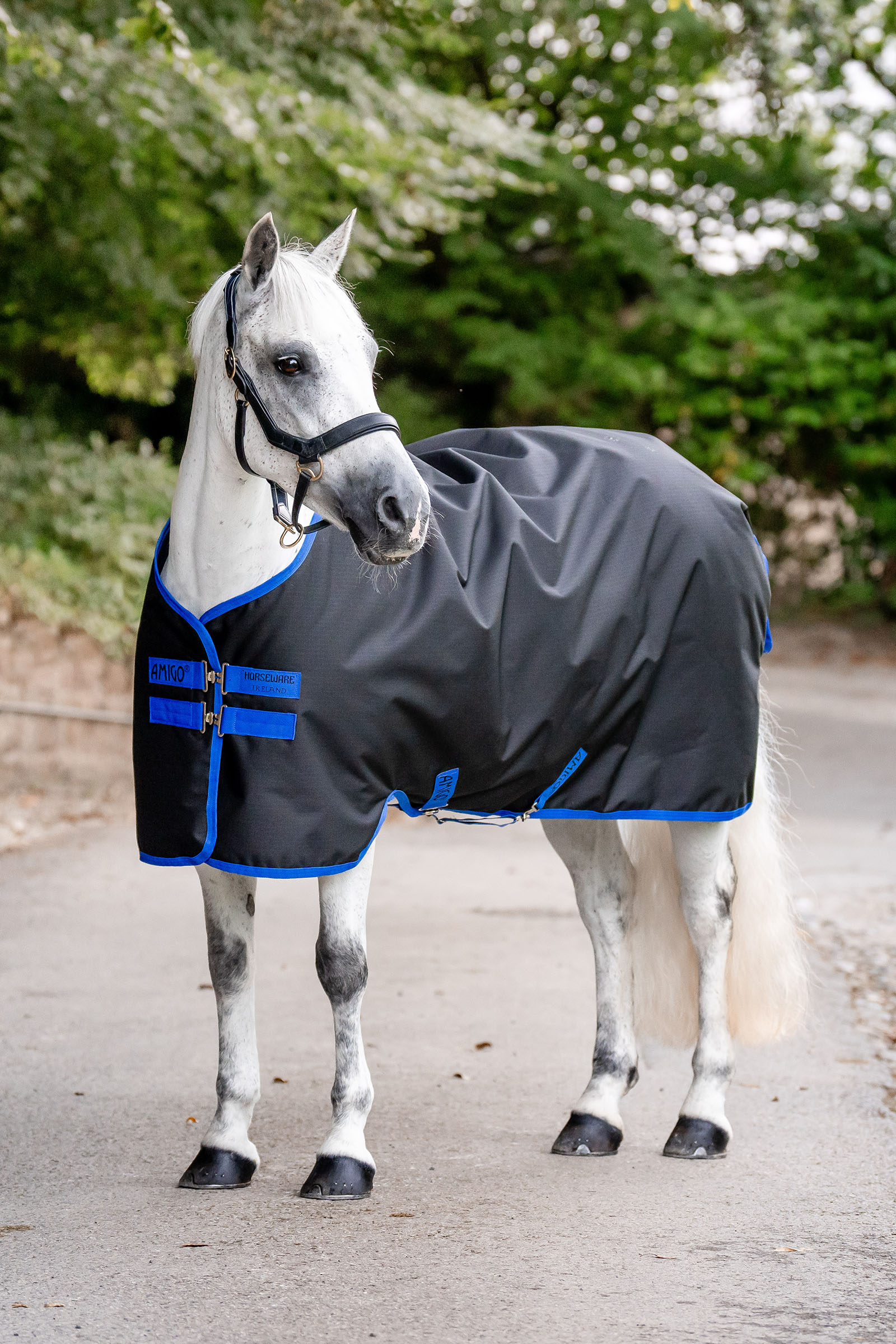 Horseware Amigo Ripstop Derka padokowa 900D, 0g