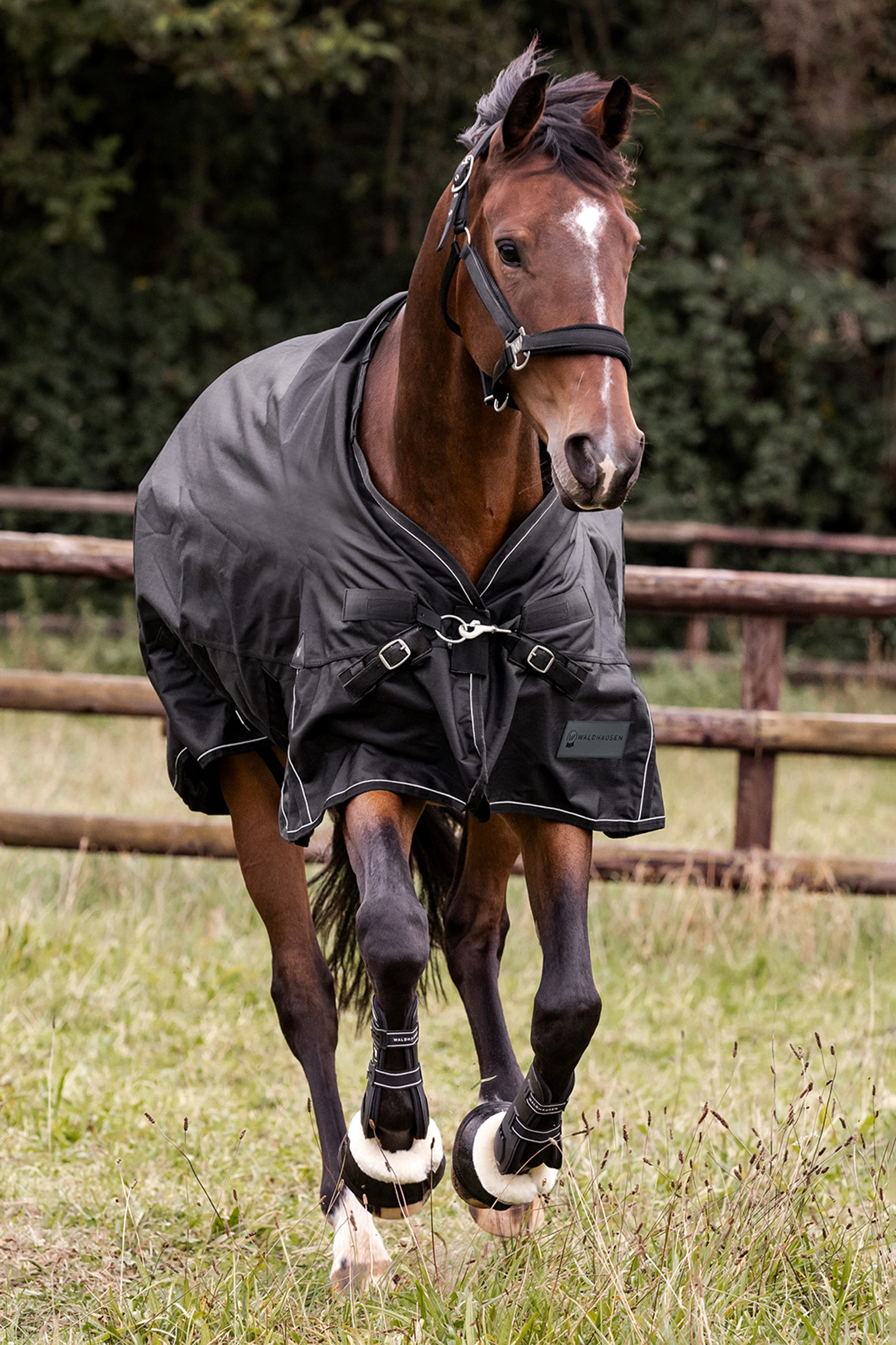 Waldhausen Outdoor Rug Scandic 100g