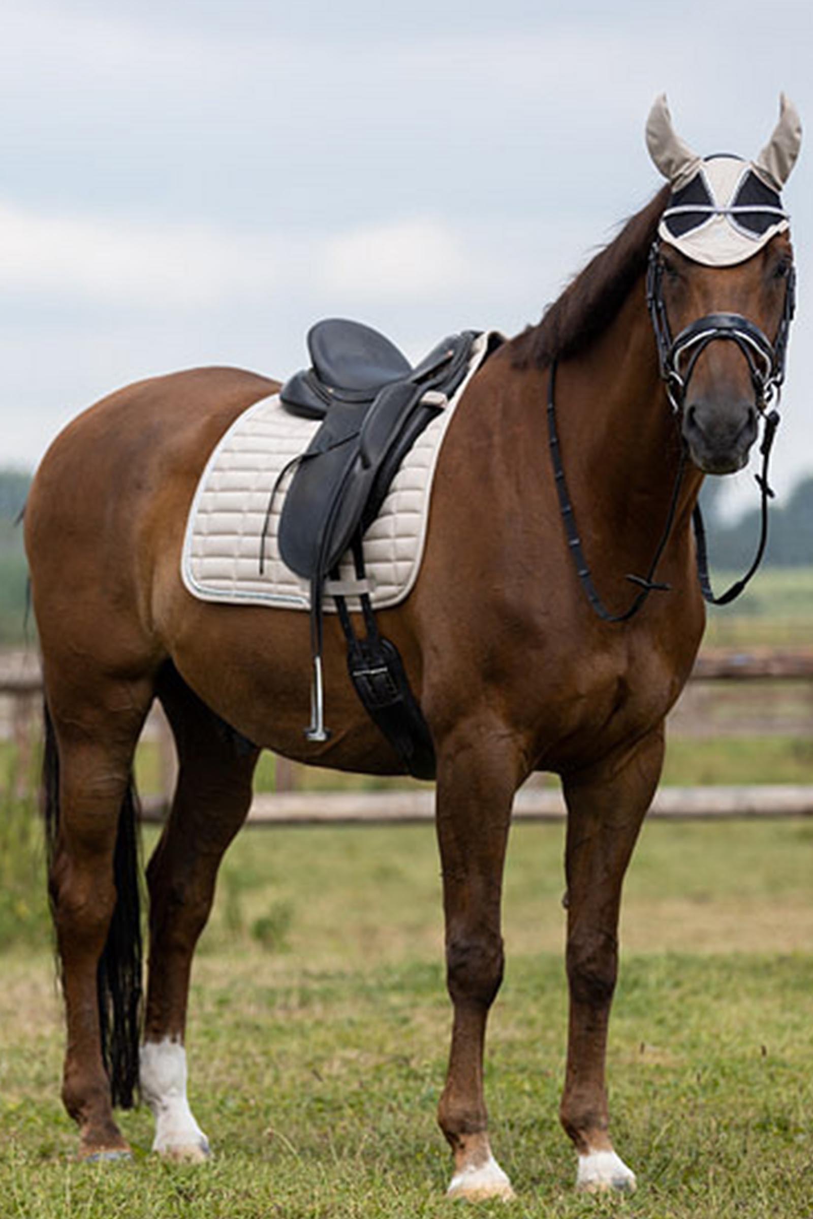 BR Glamour Chic czaprak ujeżdżeniowy