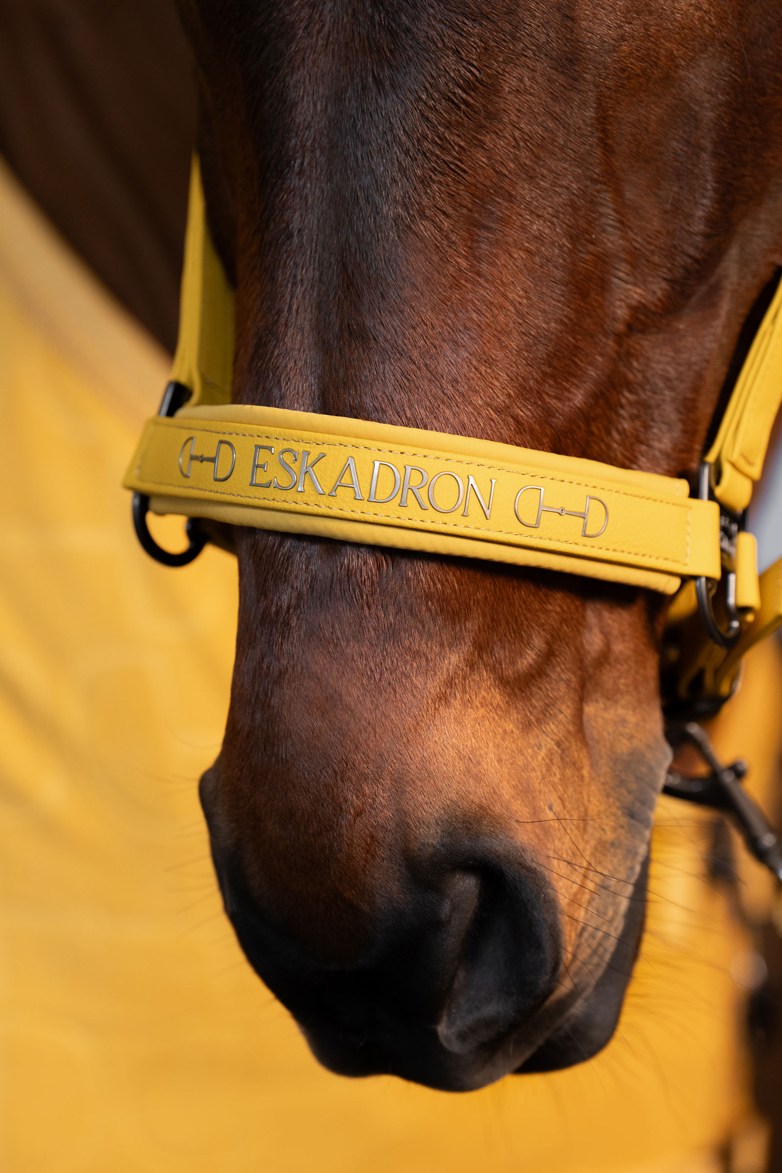 Eskadron Platinum 25 Kantar z podwójnymi pinami ze skóry ekologicznej