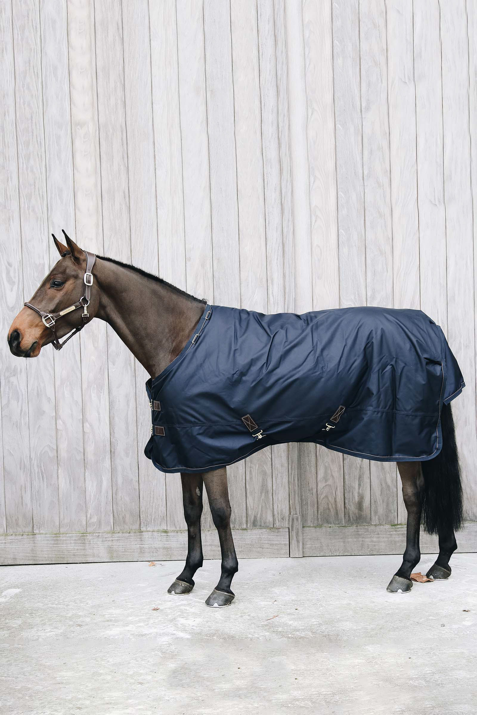 Nieprzemakalna derka padokowa Kentucky Horsewear All Weather Pro, 0 g