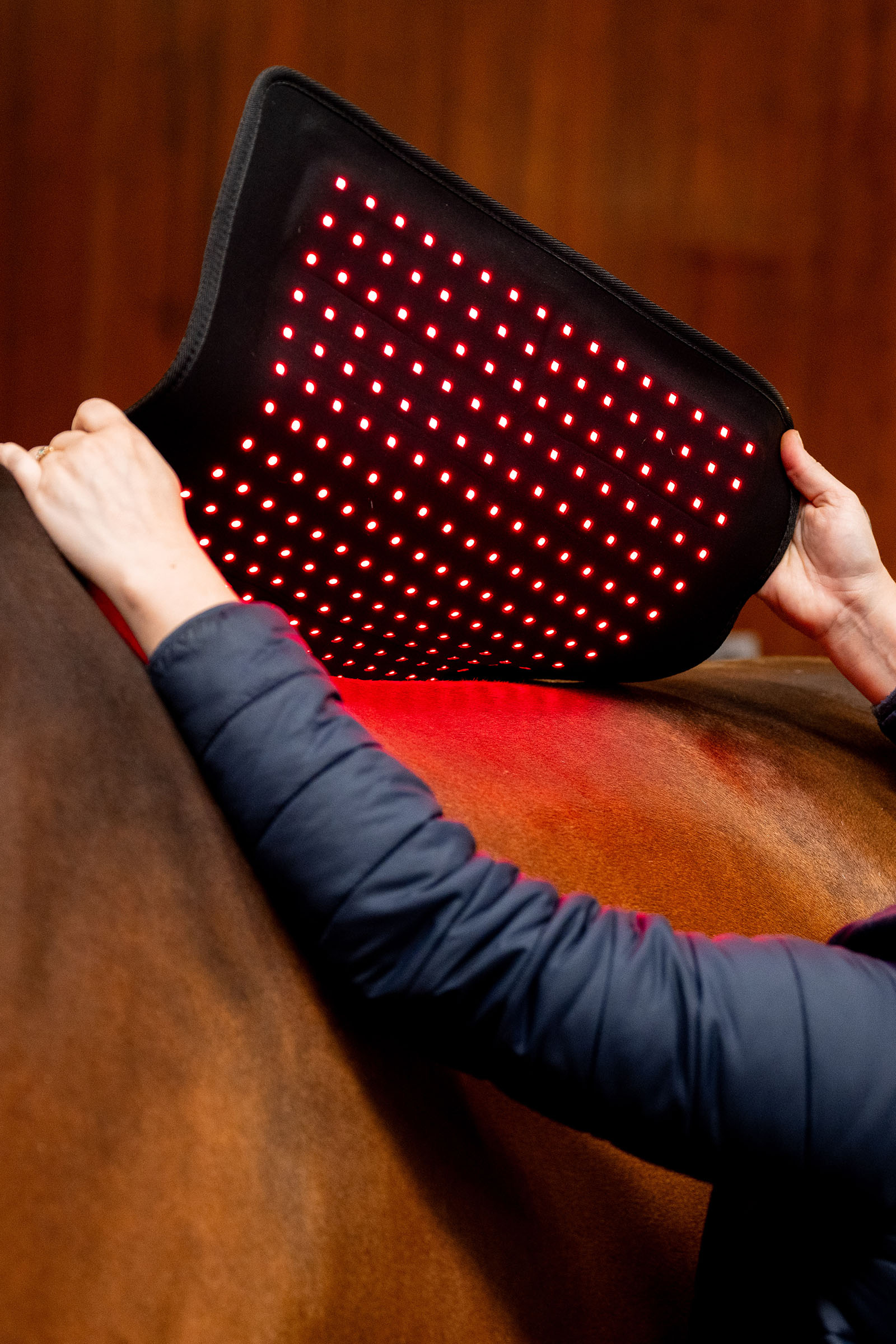 Horseware LED terapeutyczny Pad z czerwonym światłem