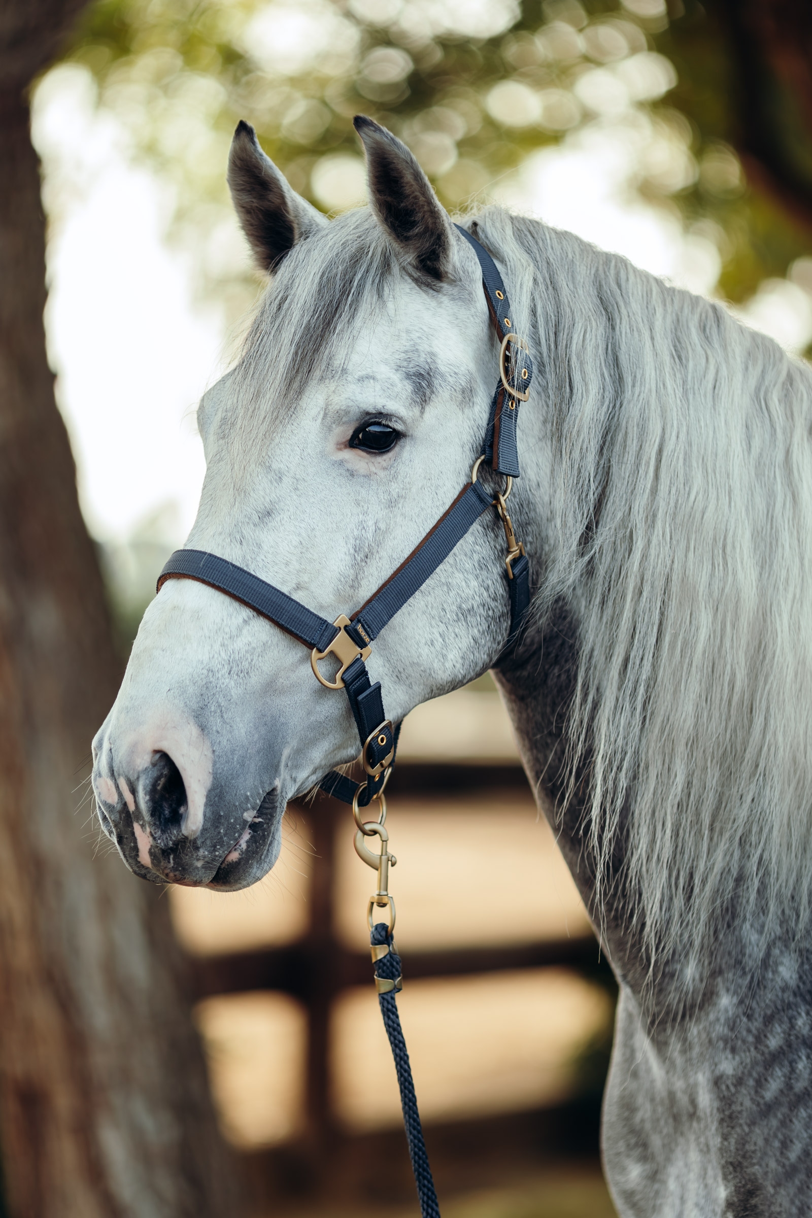 Horze Houston Kantar