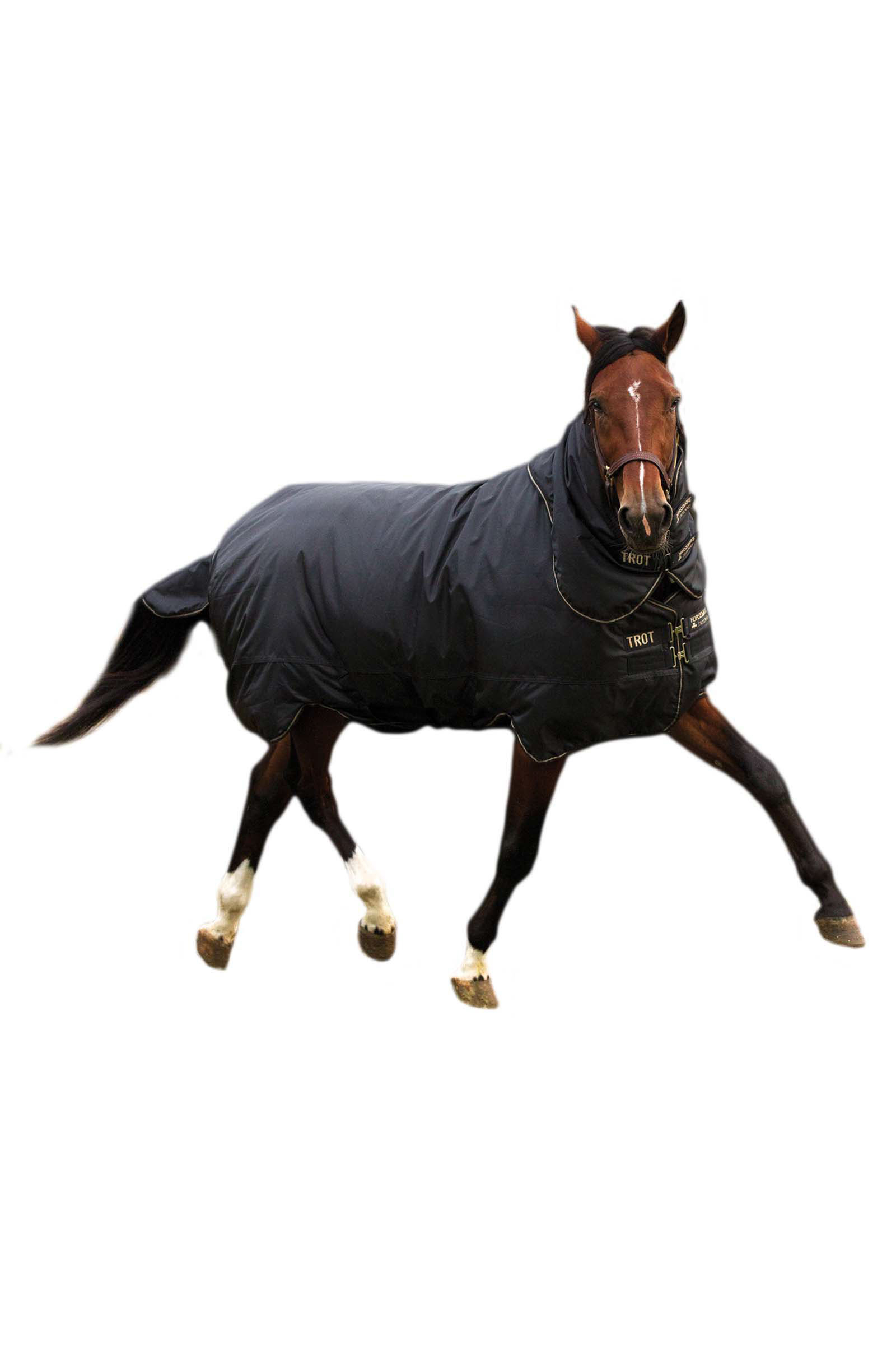 Horseware Trot Plus Derka padokowa z odpinanym kaptur, 350g