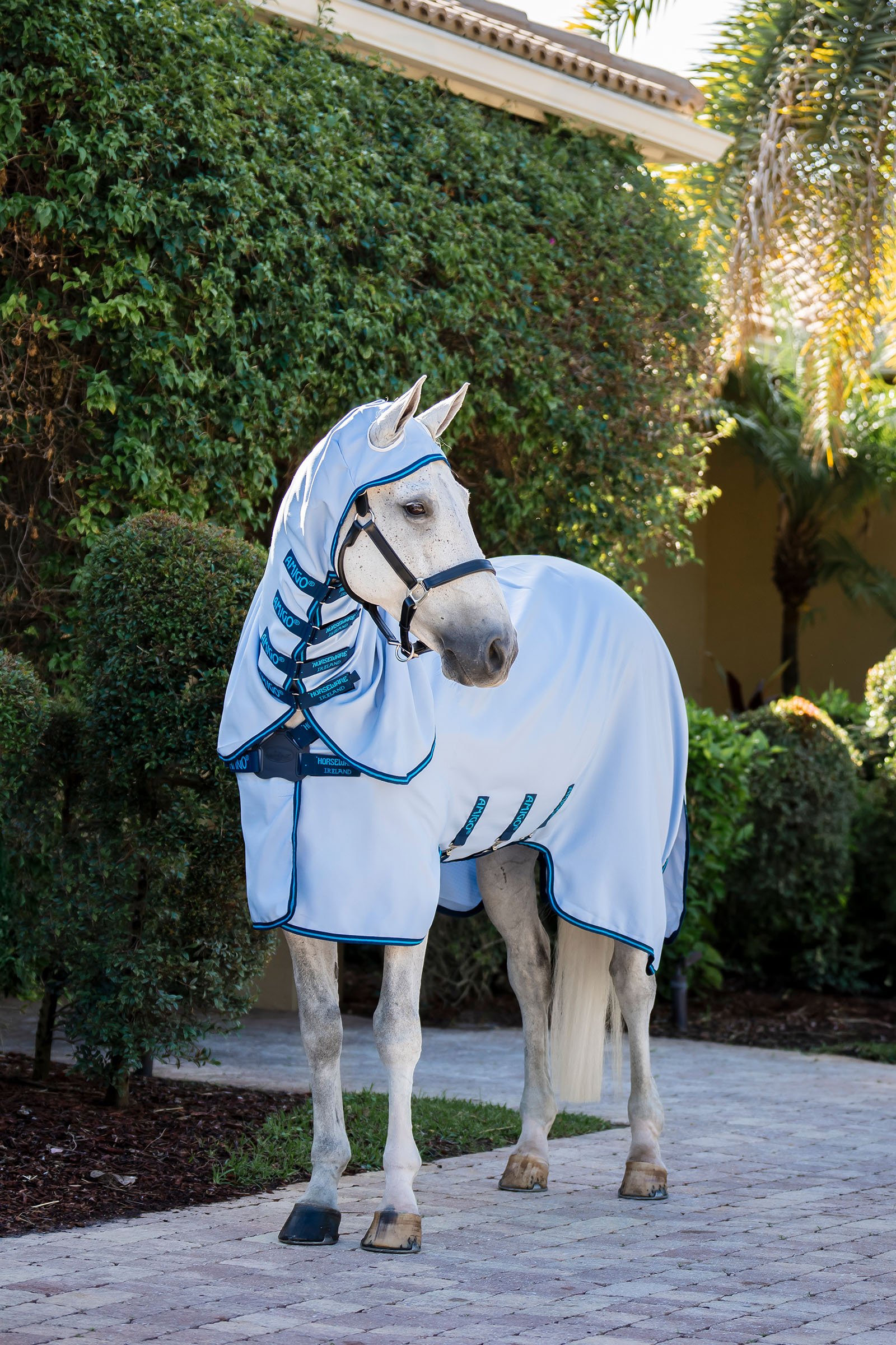 Horseware Amigo Ripstop Derka przeciw owadom