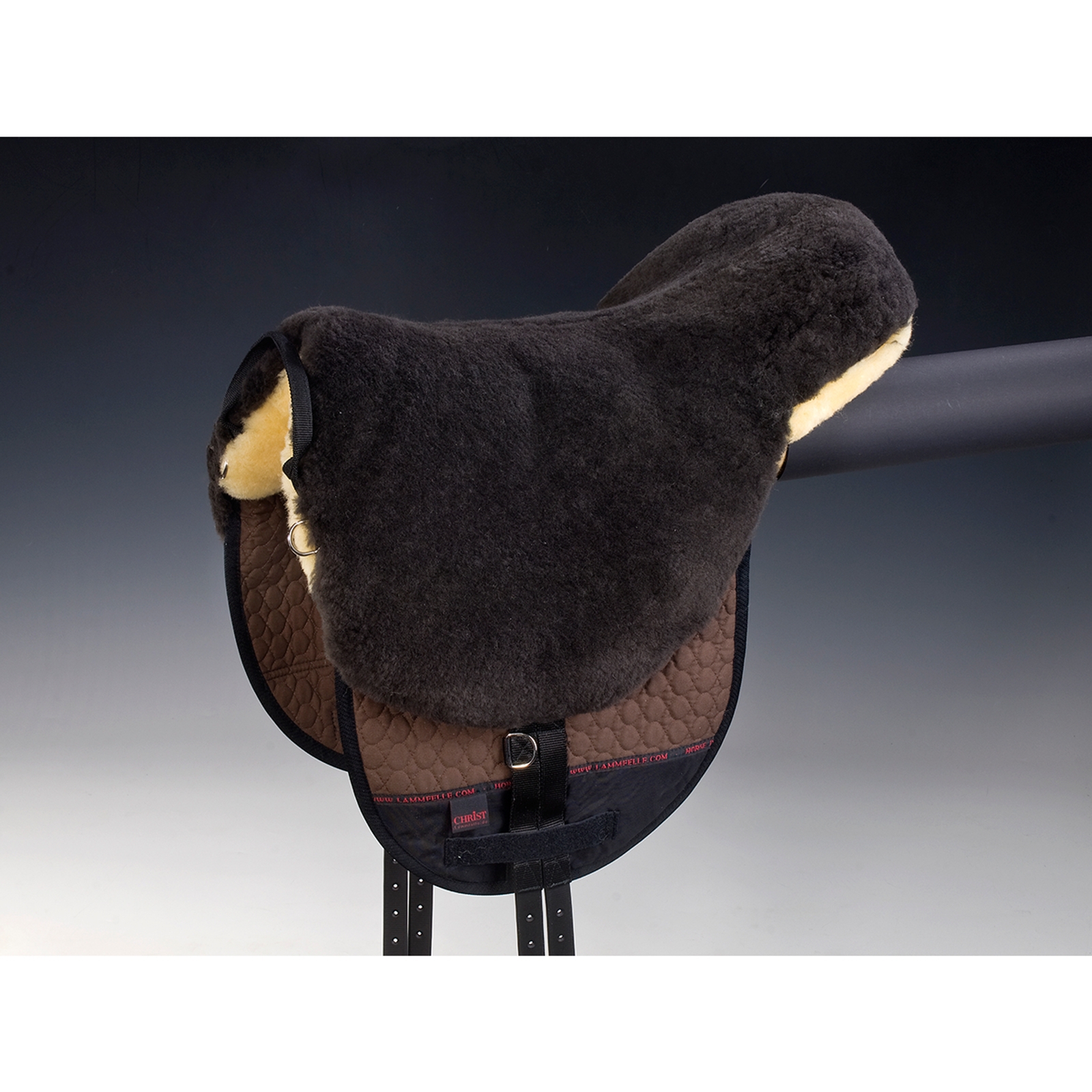 Christ Bareback ujeżdża Basic Plus, SH