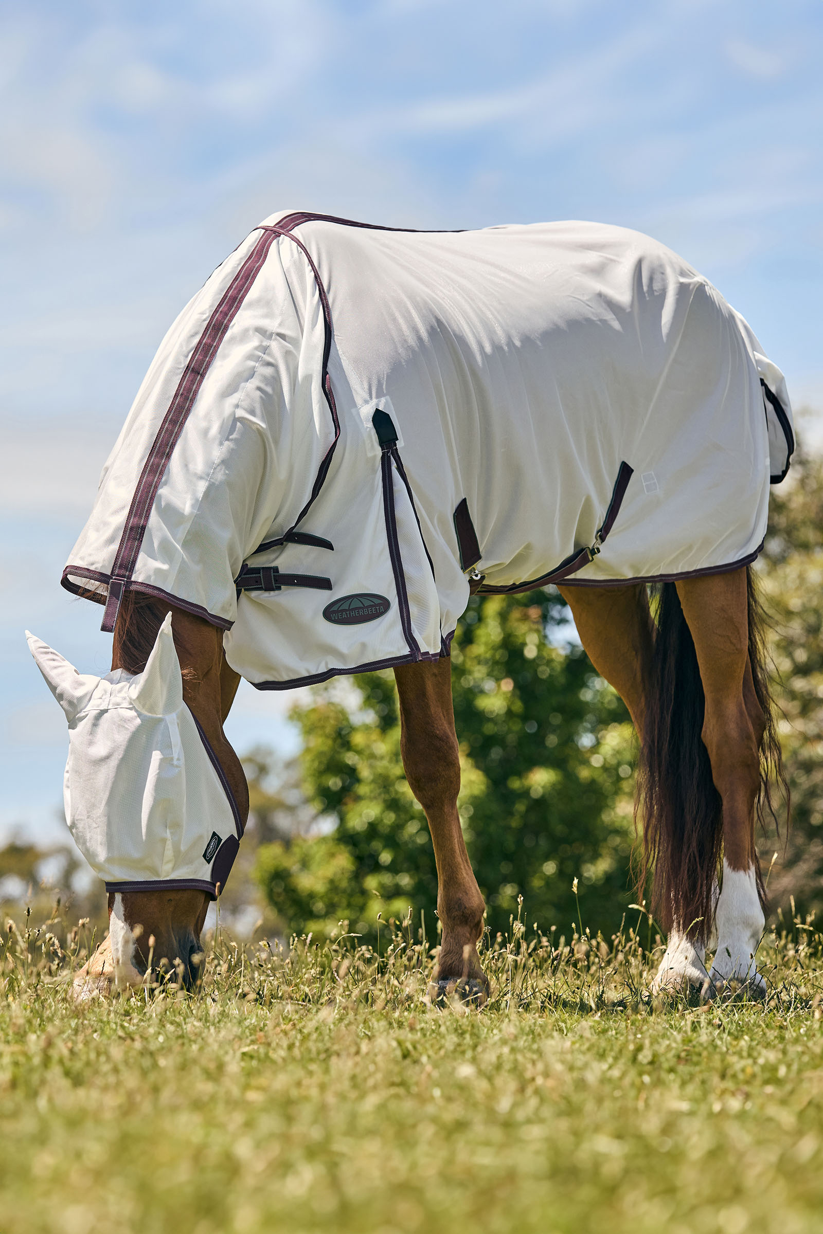 Weatherbeeta Comfitec Essential maska z siatki