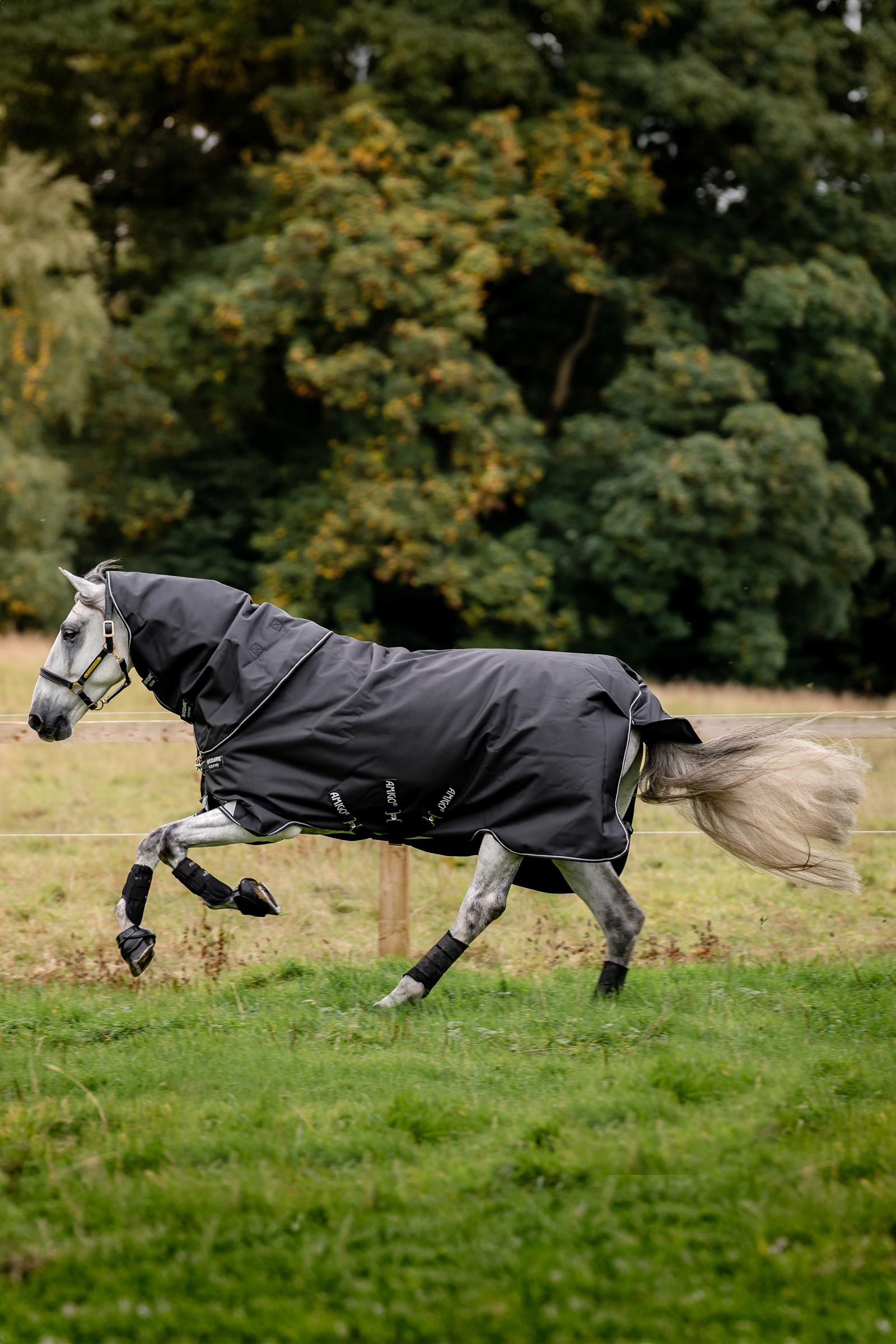 Horseware Amigo Super Bravo Plus derka padokowa z odpinaną częścią szyjną, 250 g