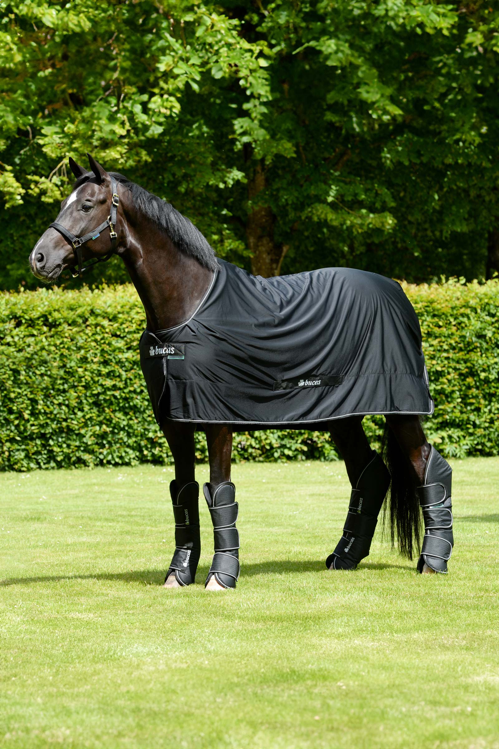 Bucas Freedom ochraniacze transportowe