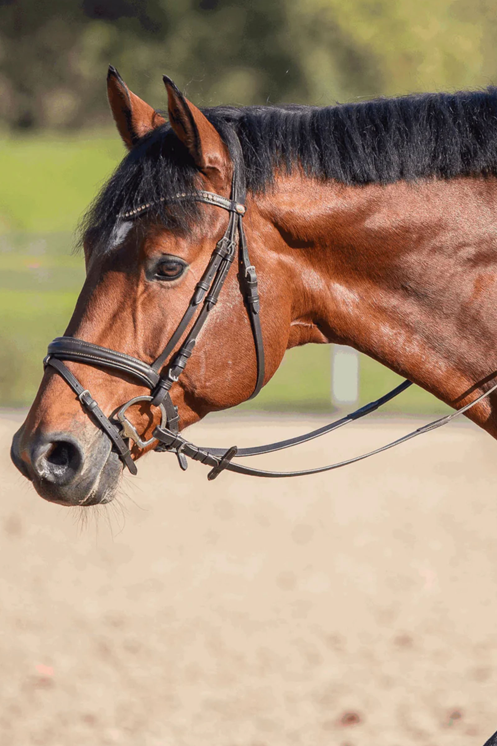 Sprenger Novocontact Olivehead Bit, Double Jointed