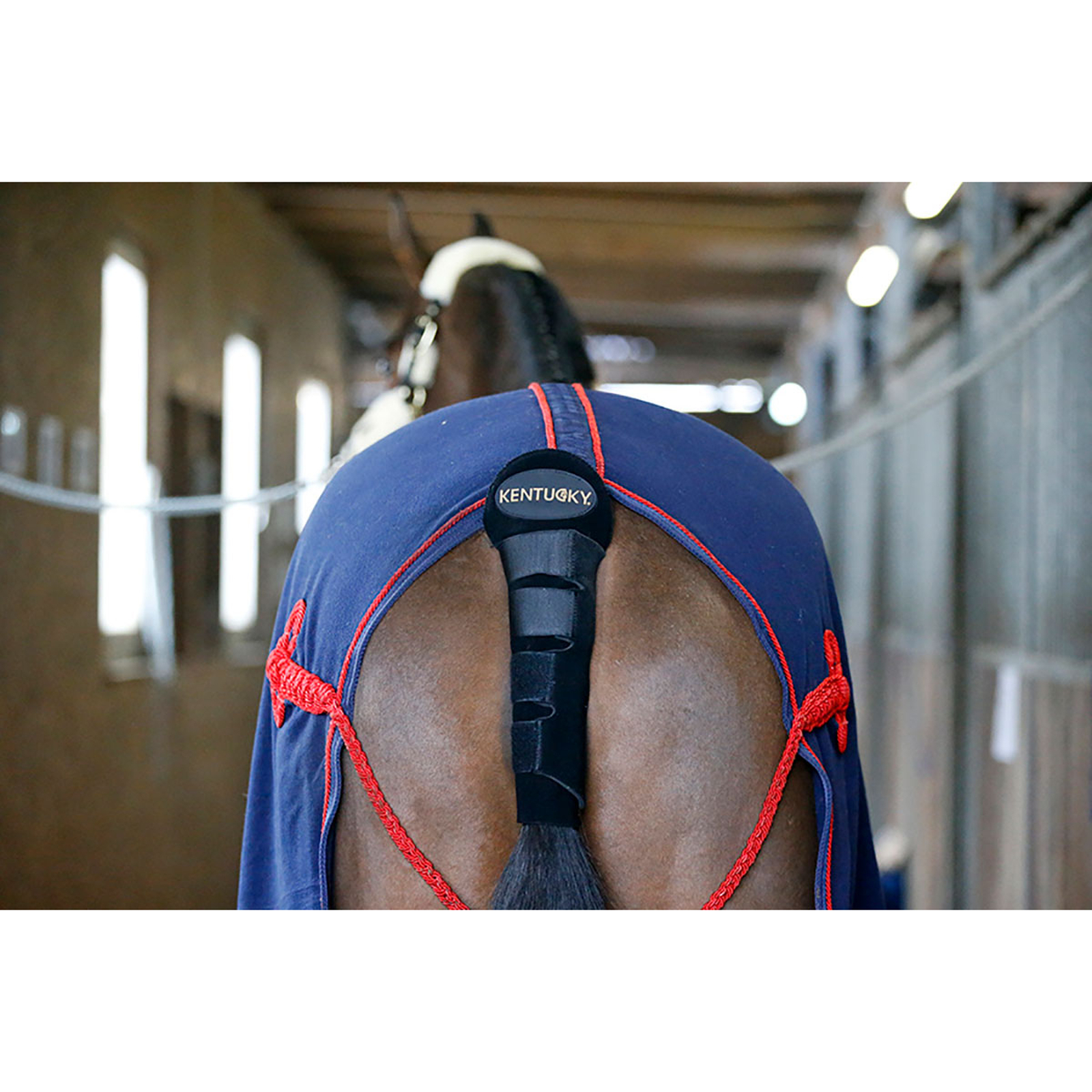 Kentucky Horsewear Tail Guard / Tail Bag