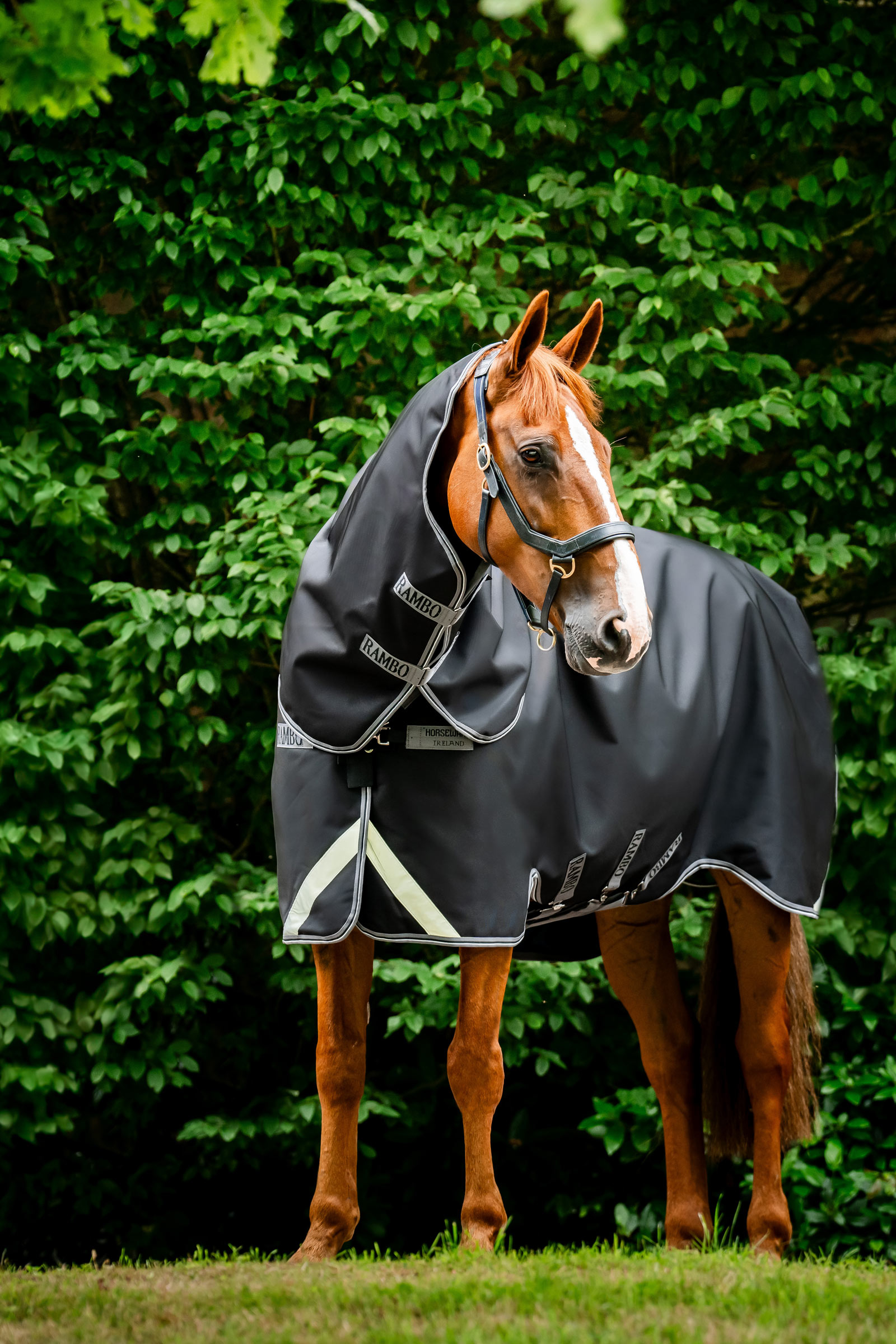 Horseware Rambo 1680D Plus derka padokowa, 100 g