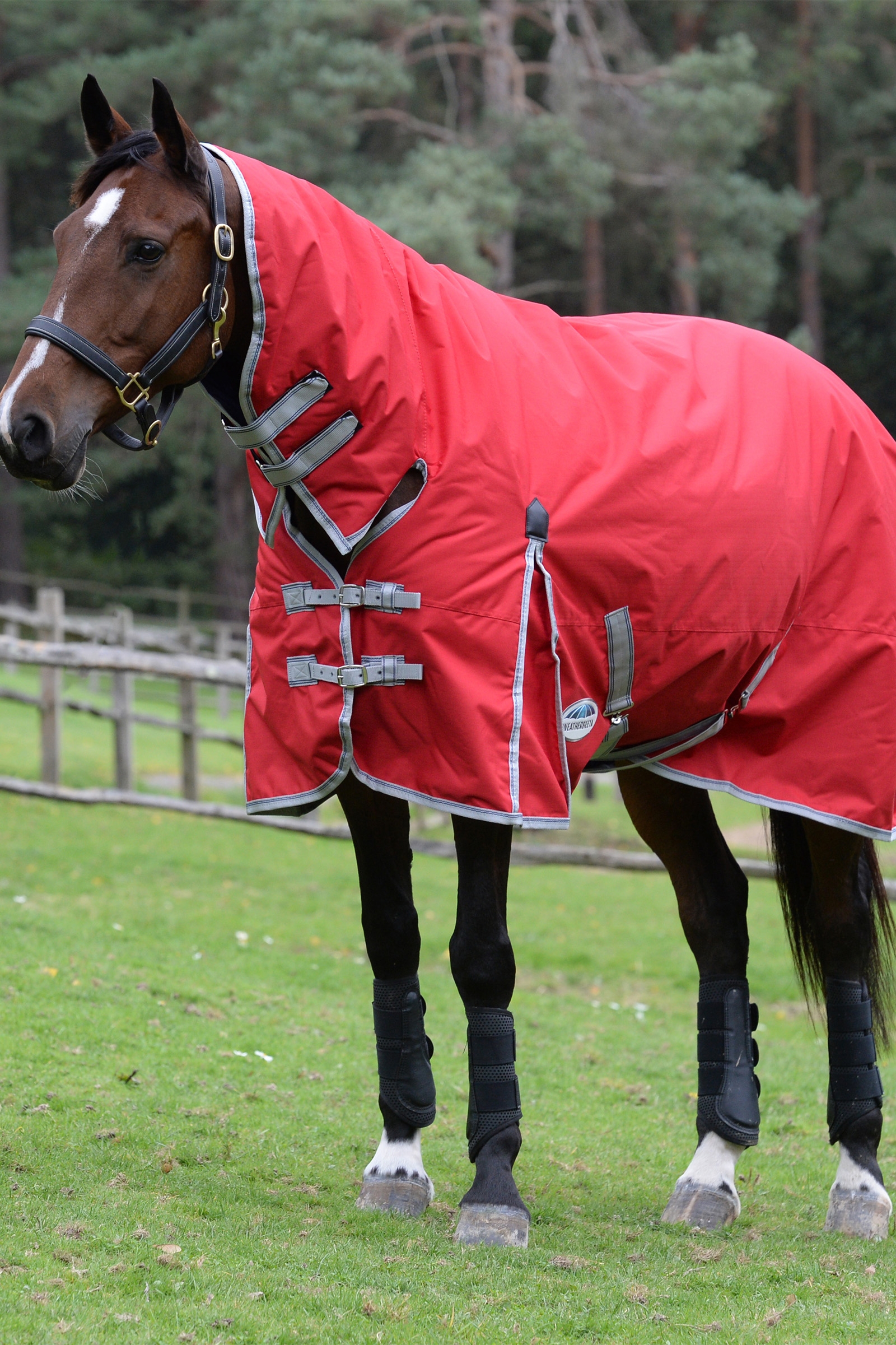 Weatherbeeta Comfitec Classic Derki dla konia z wbudowanym kołnierzem, 50g